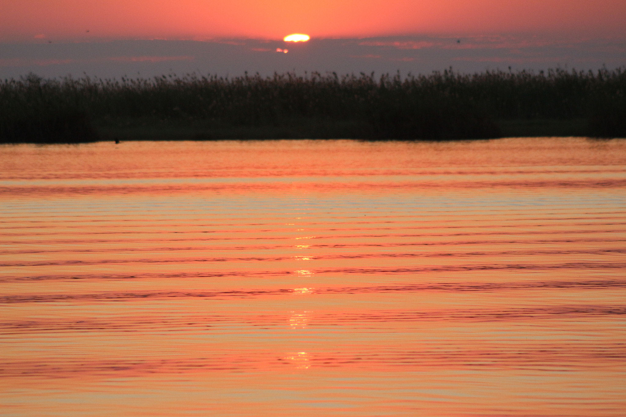 Canon EF 90-300mm F4.5-5.6 sample photo. Romantik moment photography