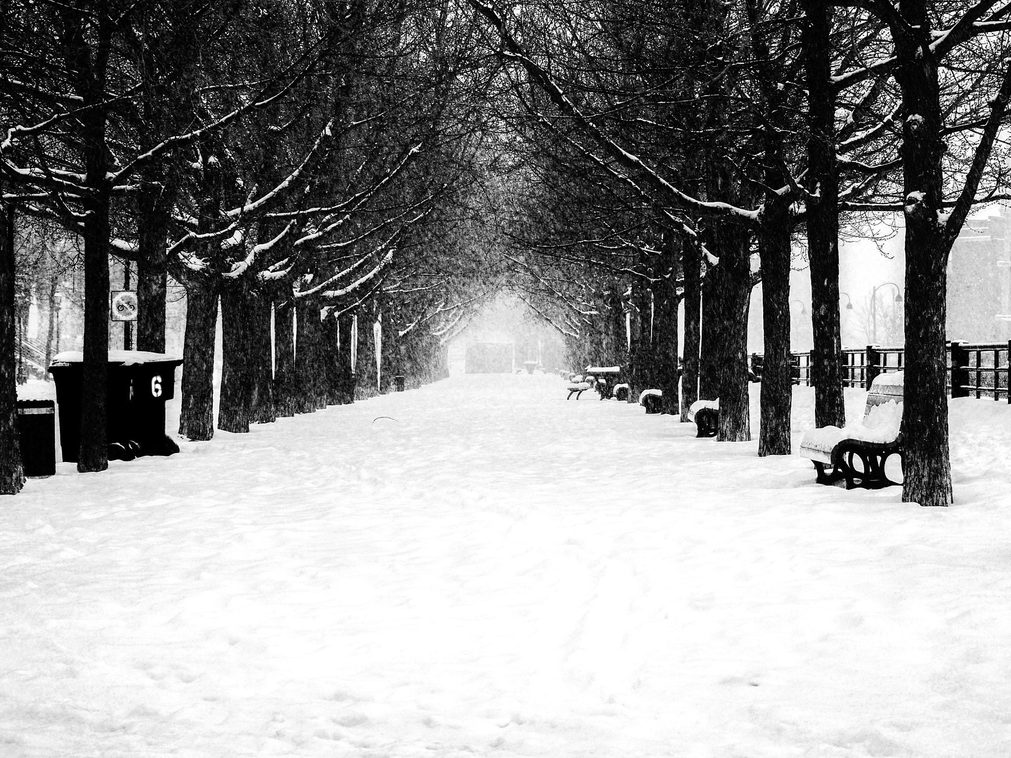 Olympus OM-D E-M10 II sample photo. Jour de tempête photography