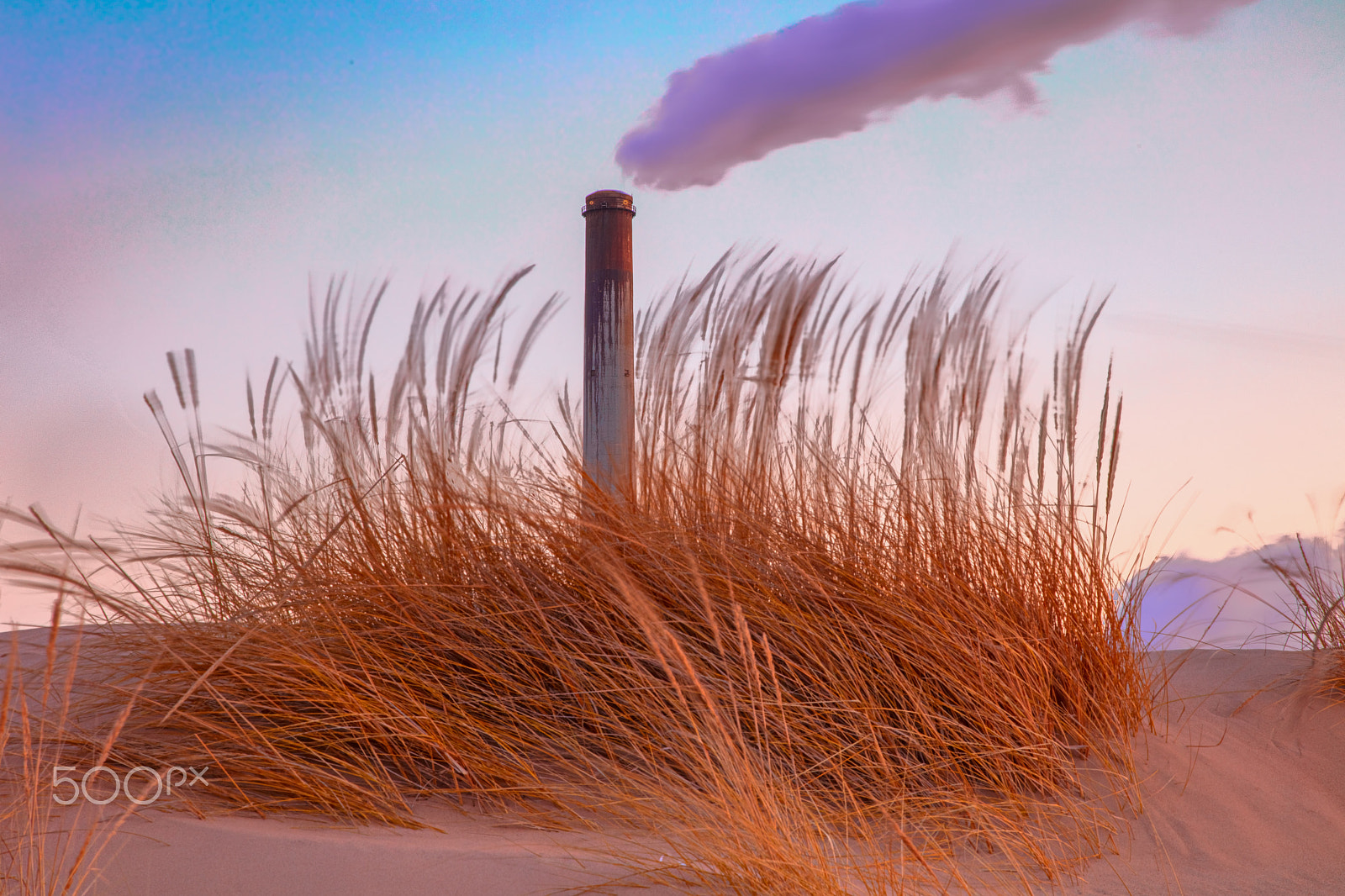 Canon EOS 5DS R sample photo. Smoking grass photography