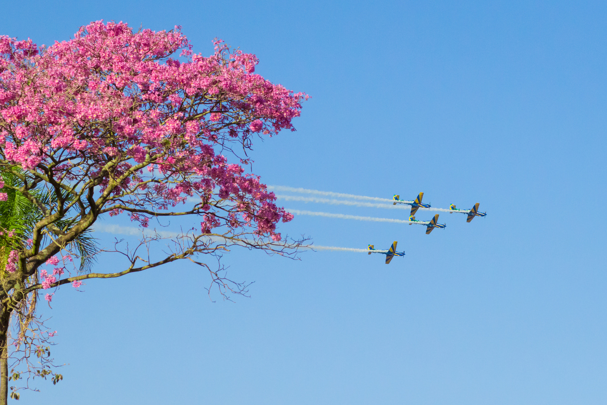 Canon EOS 60D + Canon EF 85mm F1.8 USM sample photo. Brazilian air force team "esquadrilha da fumaça" photography