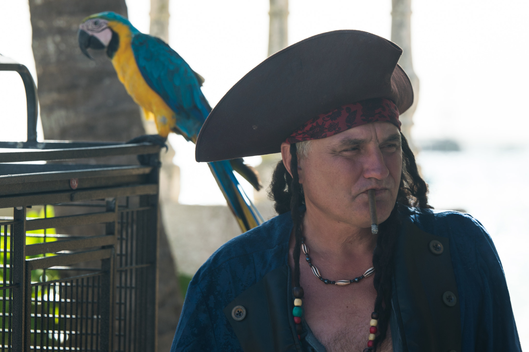 Nikon D3300 + Nikon AF-S Nikkor 70-200mm F2.8G ED VR II sample photo. Pirate and his parrot photography