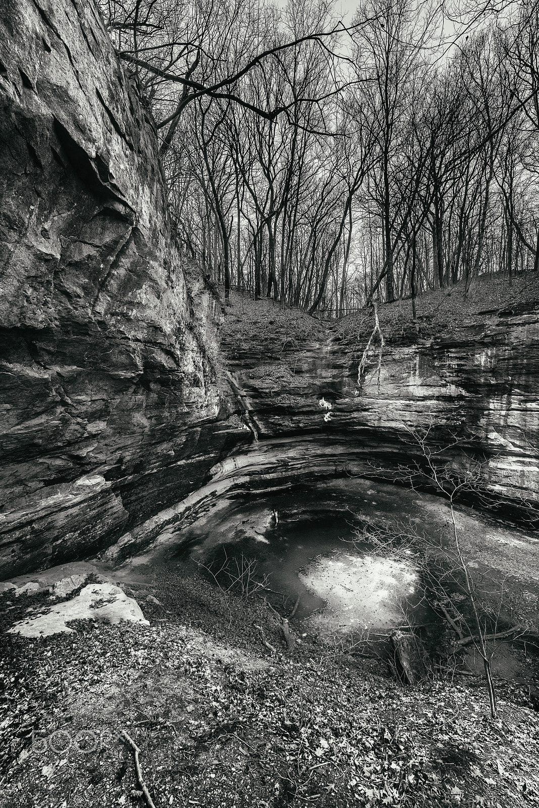 Samyang 14mm F2.8 ED AS IF UMC sample photo. The wood photography