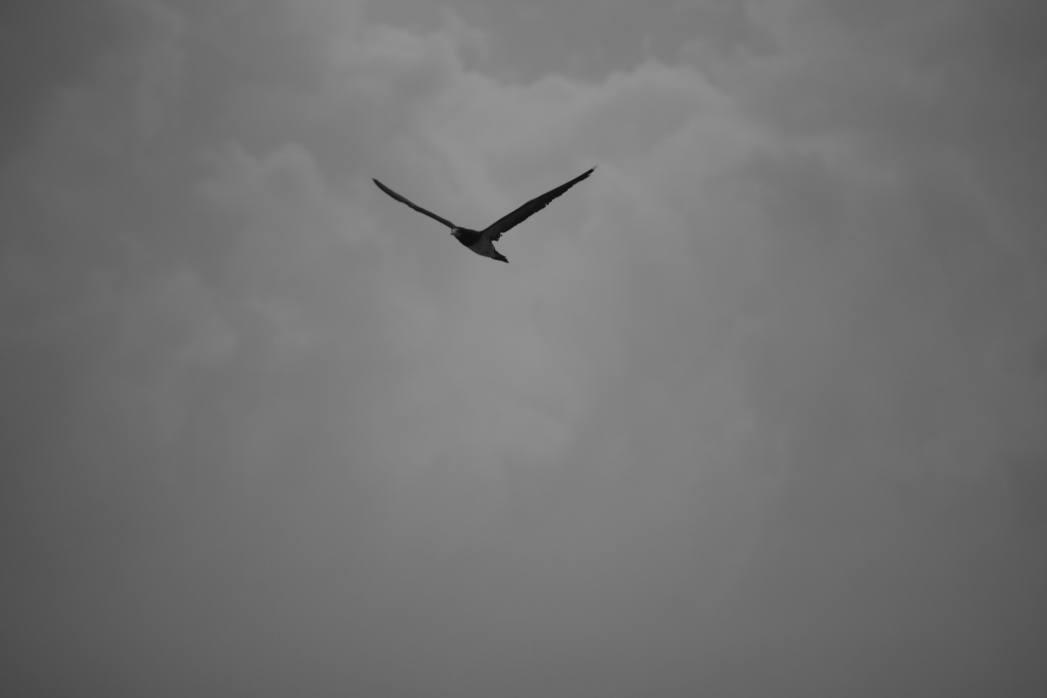 Canon EF-S 55-250mm F4-5.6 IS sample photo. Heading west photography