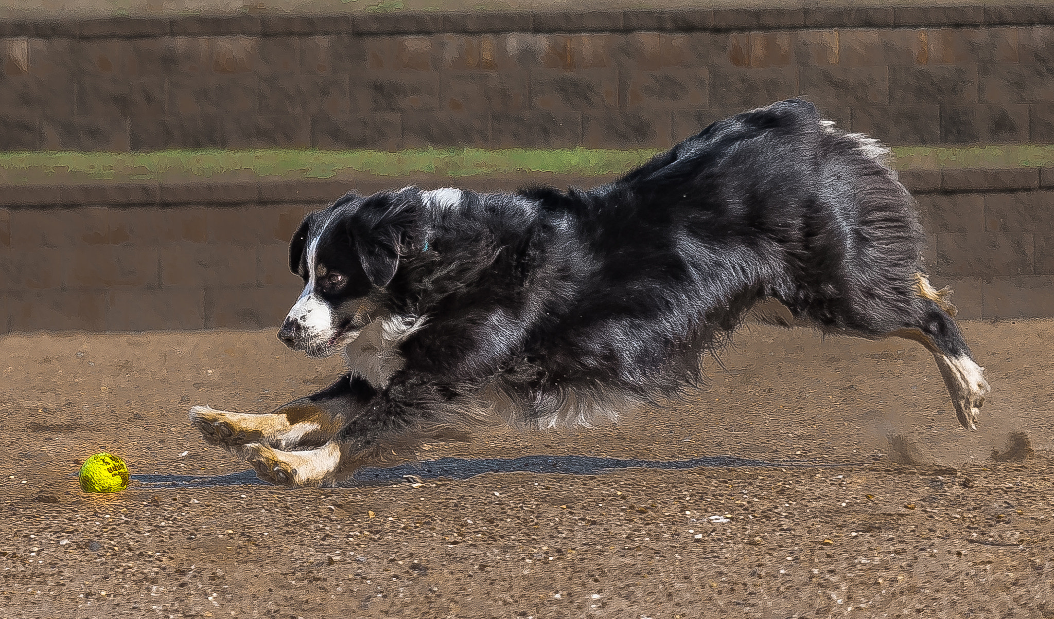 Tamron SP 24-70mm F2.8 Di VC USD sample photo. Hard stop photography