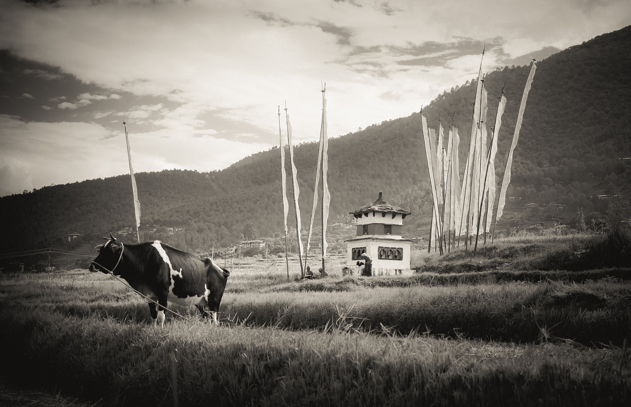 Sony SLT-A99V sample photo. Prayer flags photography