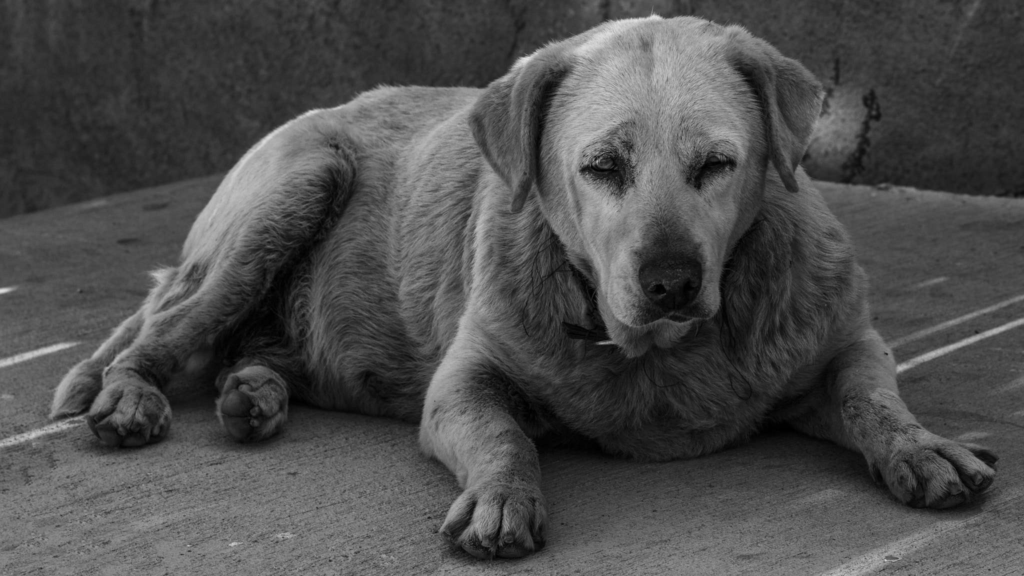 Canon EF 50mm F1.8 II sample photo. Old boy photography
