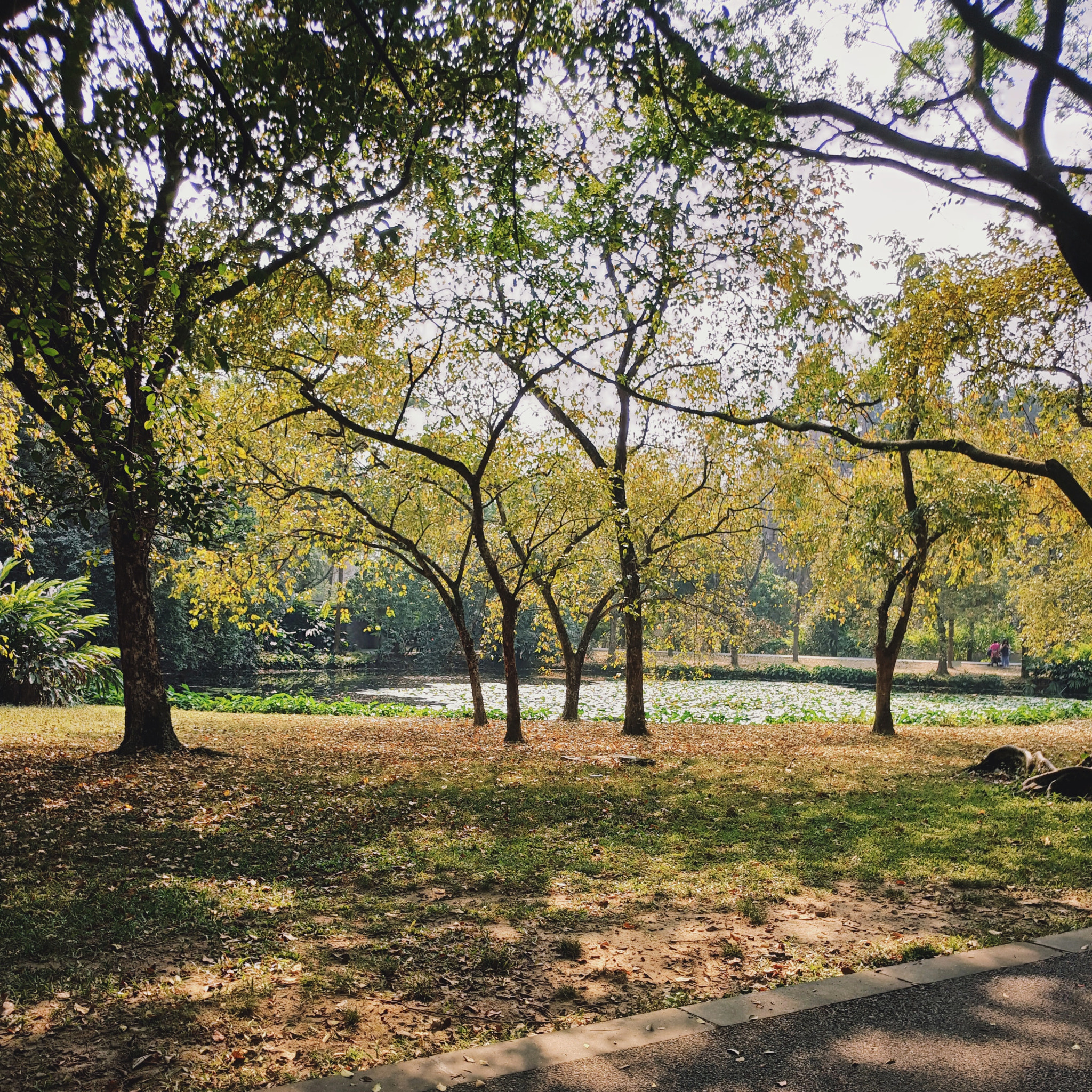 Meizu PRO 6 Plus sample photo