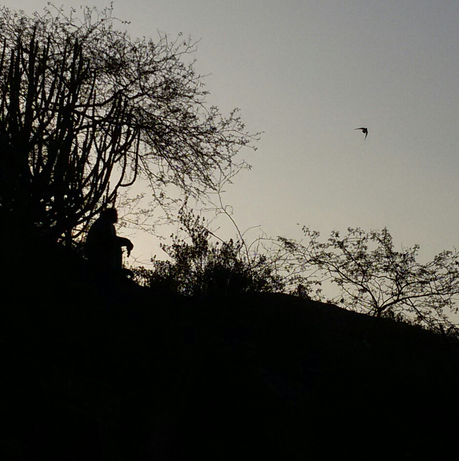 Samsung GT-I9300I sample photo. 20160117_171458-1.jpg photography