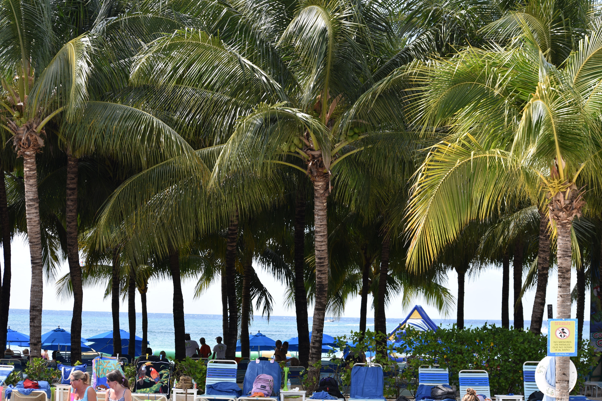 Nikon D3400 sample photo. Cozumel, mexico photography