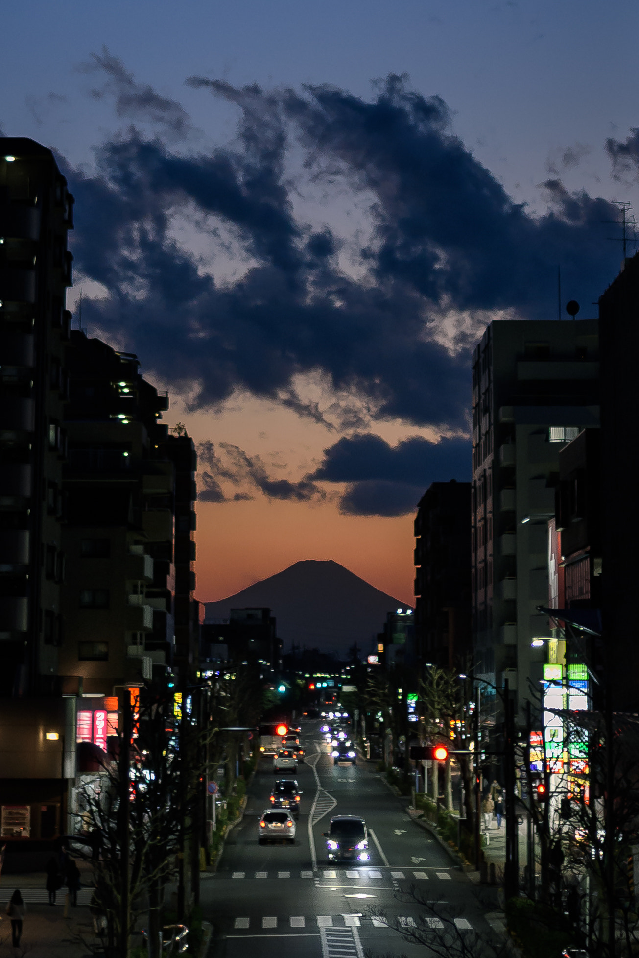 Nikon D810 + Sigma 35mm F1.4 DG HSM Art sample photo. Symbiosis with the symbol of japan photography