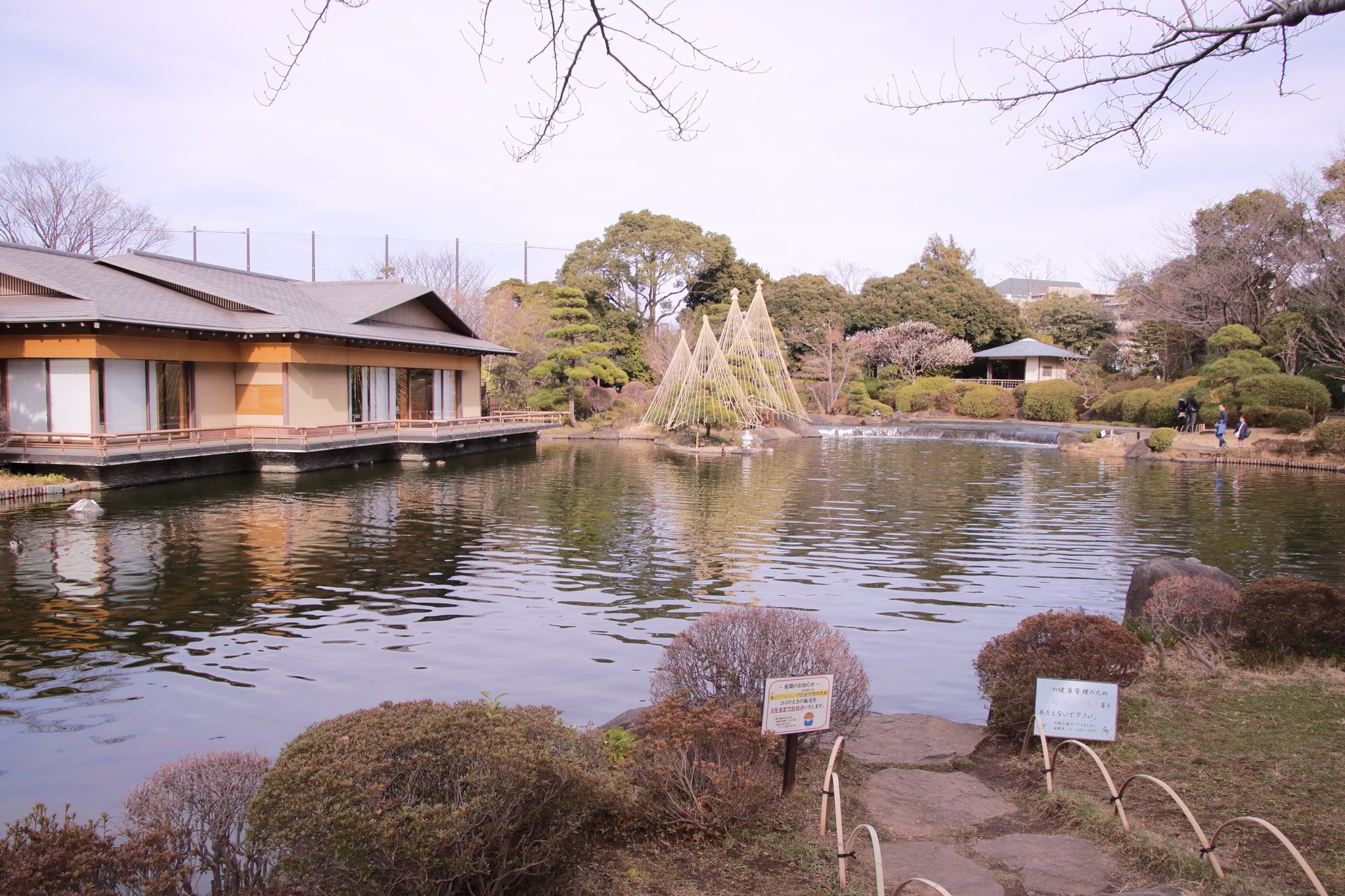 Canon EOS 760D (EOS Rebel T6s / EOS 8000D) sample photo. Japanese garden  photography