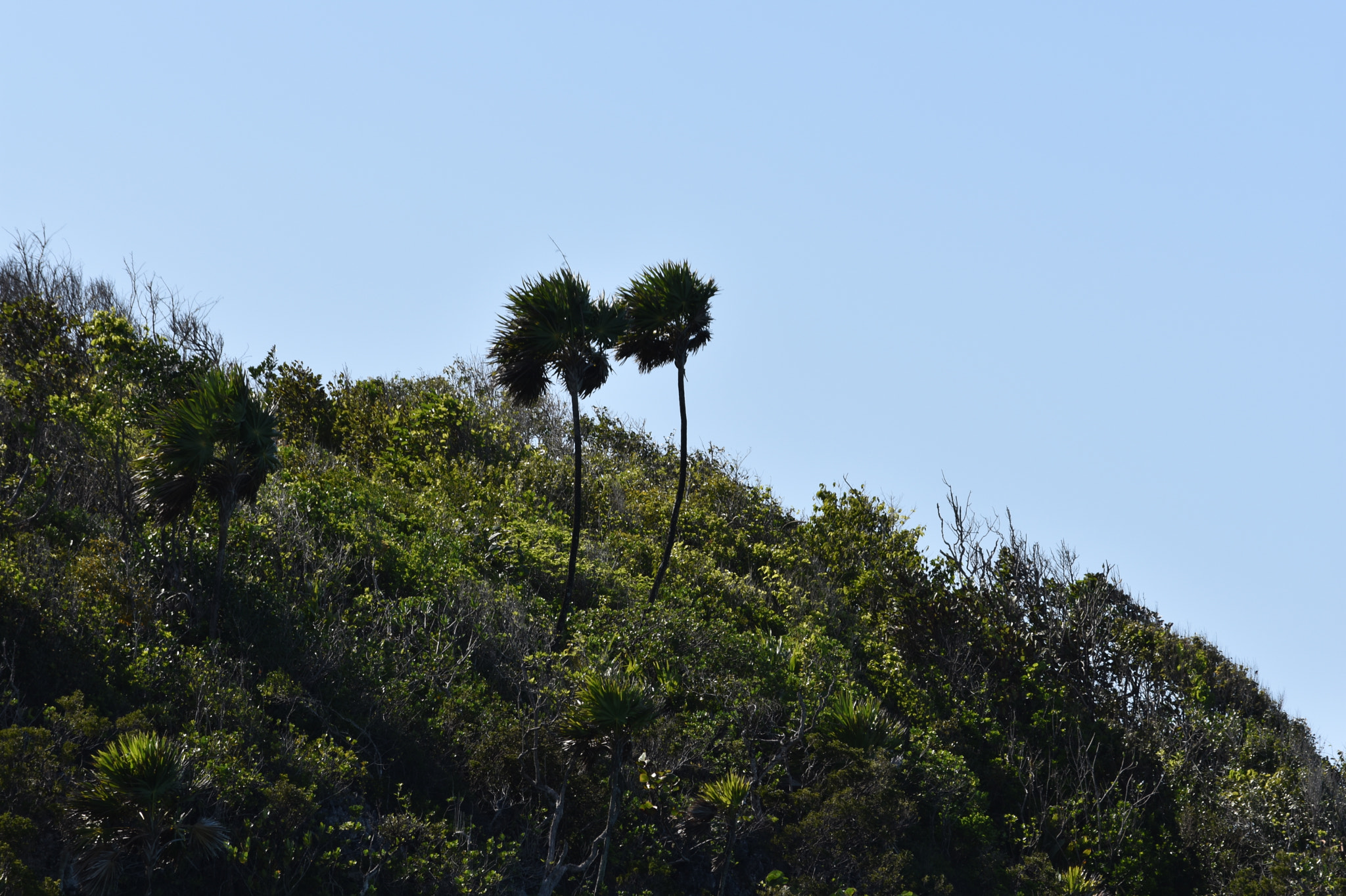 Nikon D3400 sample photo. Haiti photography