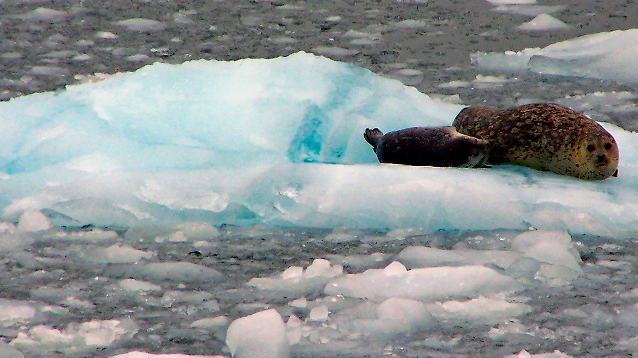 Kodak DX7590 ZOOM DIGITAL CAMERA sample photo. Mother slush photography