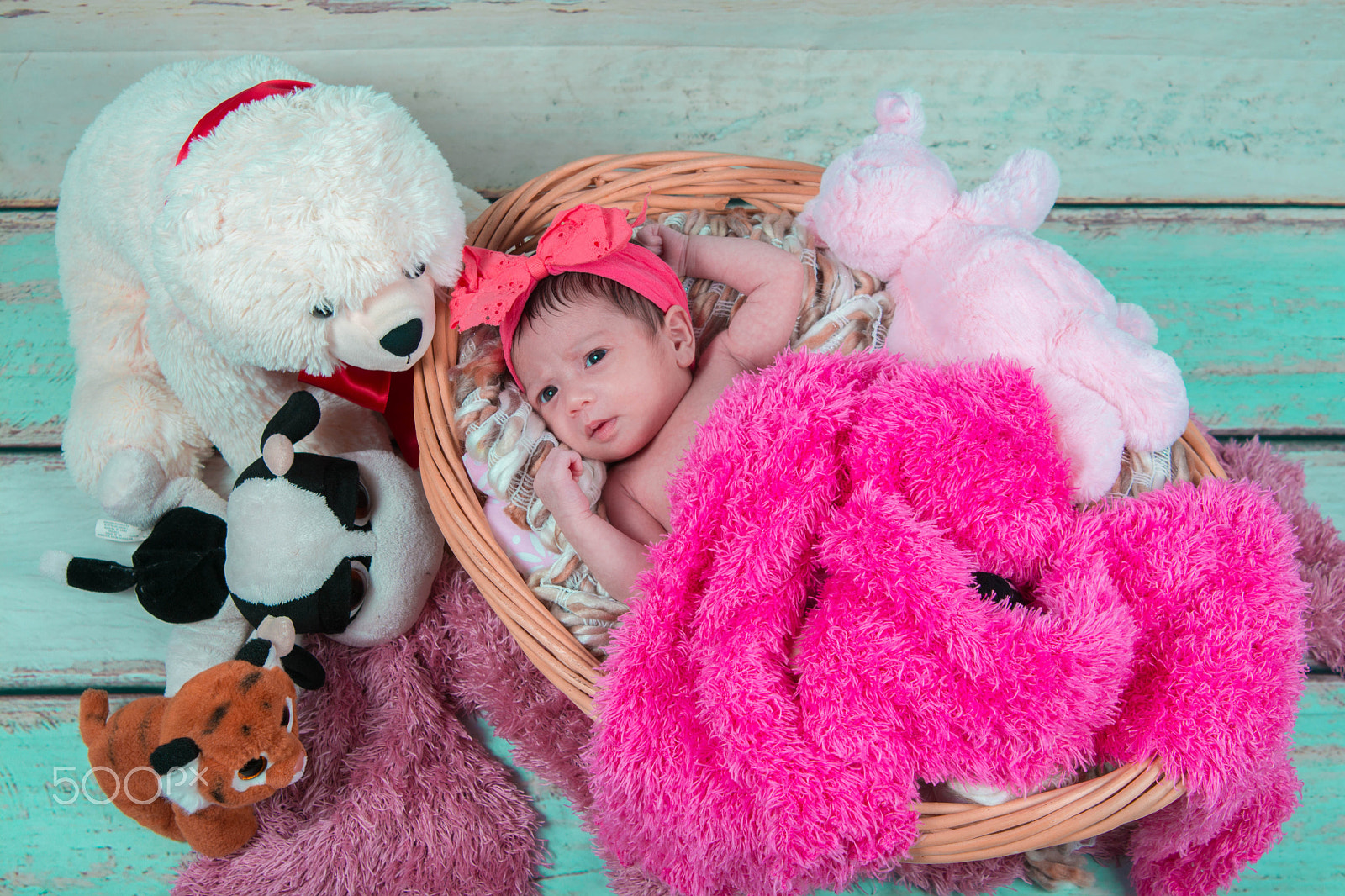 Nikon AF Nikkor 24-85mm F2.8-4D IF sample photo. This little girl. photography