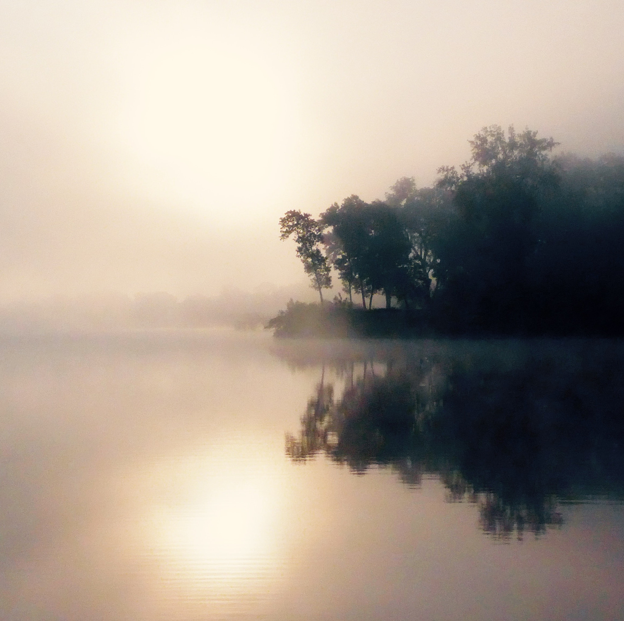 Leica C (Typ 112) sample photo. Morning  fog photography
