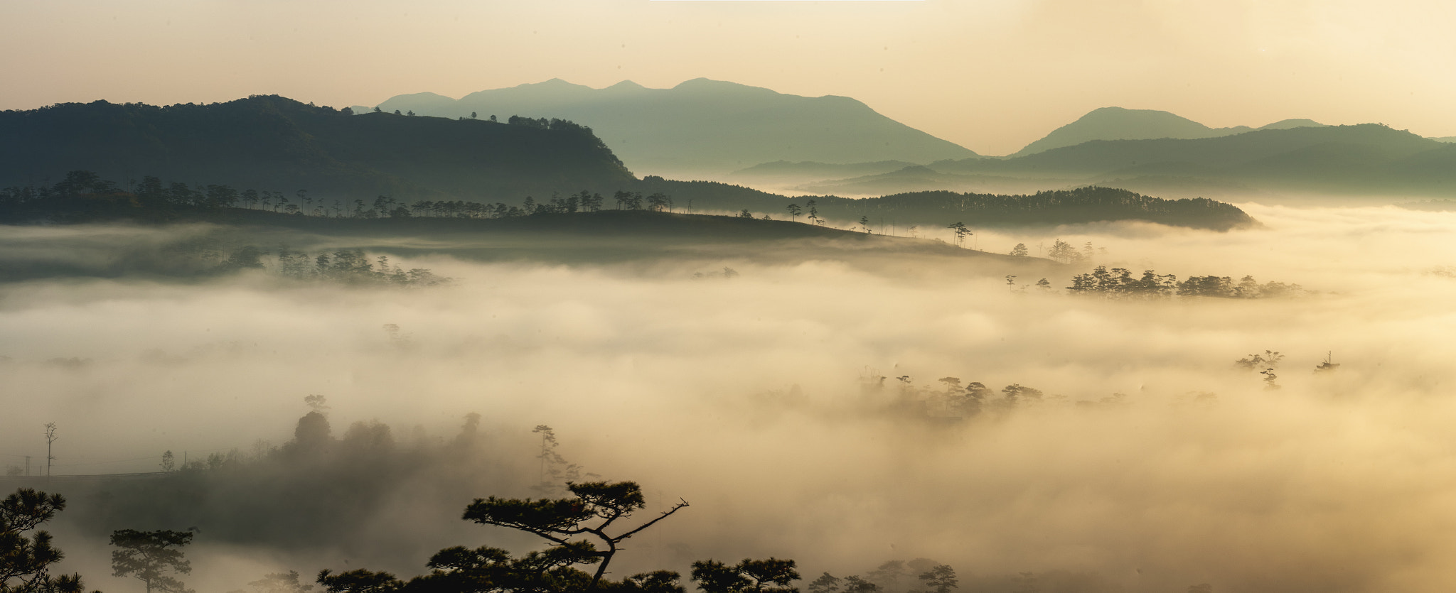 Sigma 50-150mm F2.8 EX APO DC OS HSM sample photo. Lac duong, lam dong photography