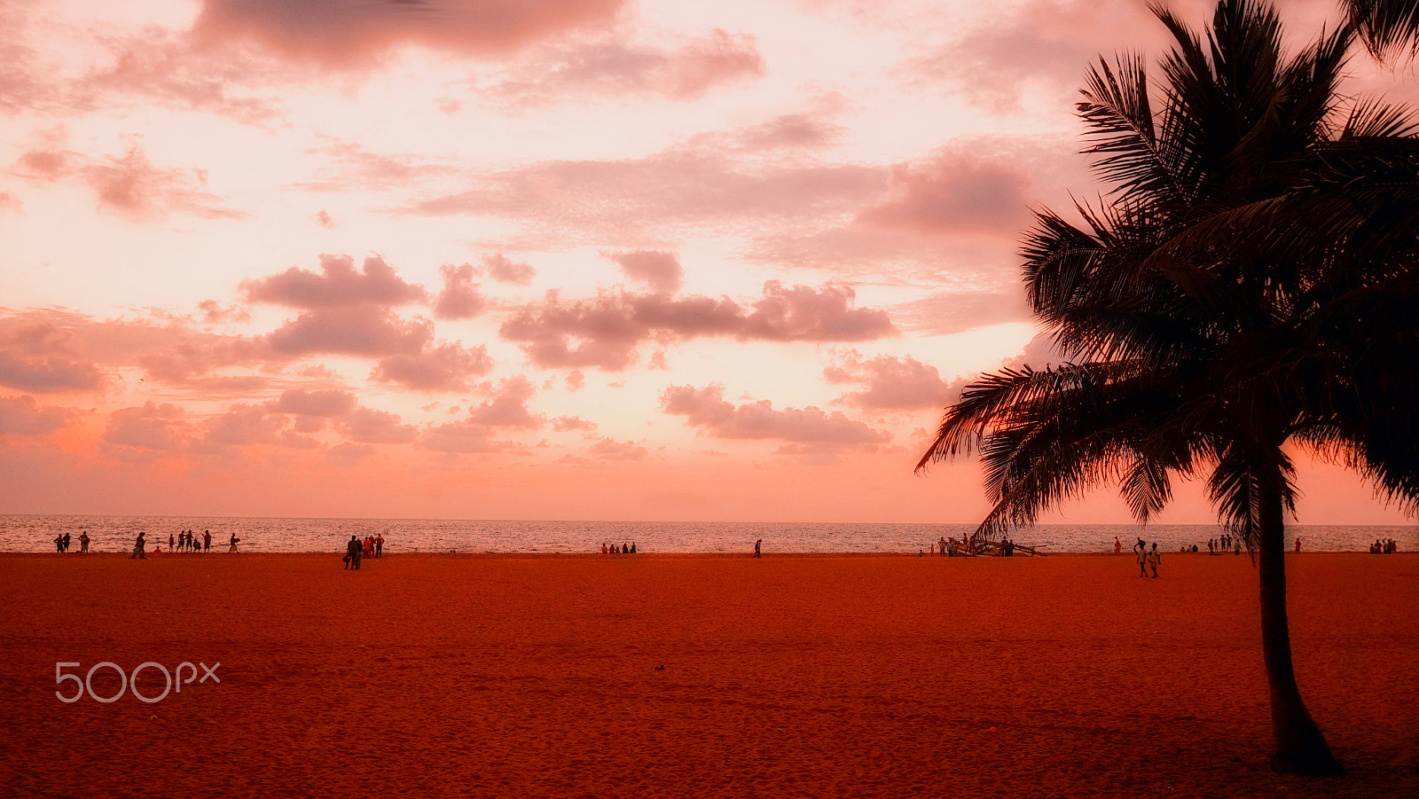 Sony a5100 + Sigma 19mm F2.8 EX DN sample photo. Negombo beach sunset photography