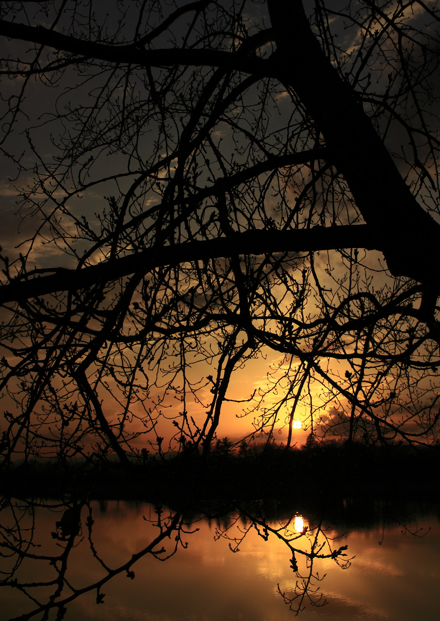 Canon EF-S 24mm F2.8 STM sample photo. Sunset photography