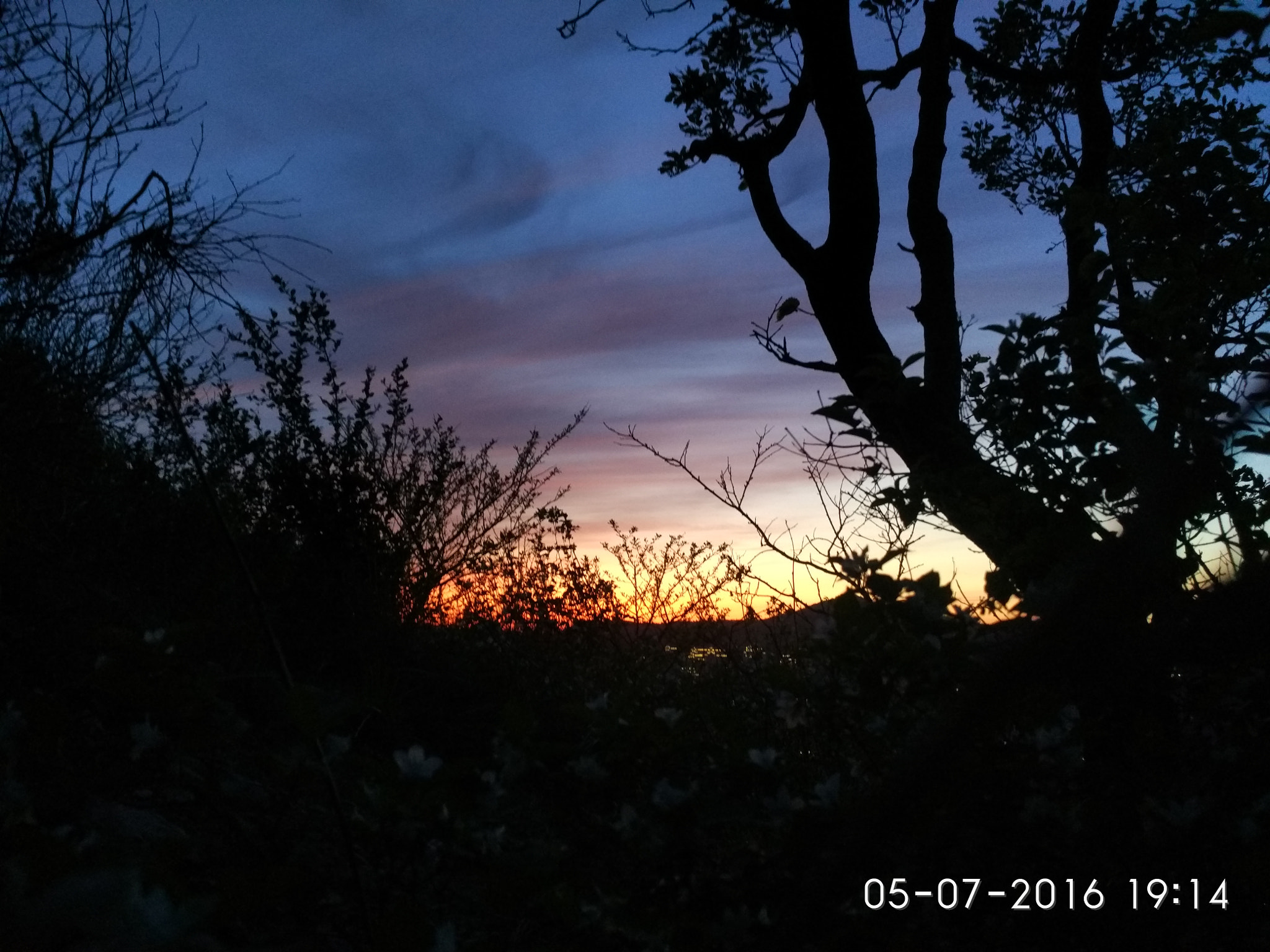 Xiaomi Mi-4c sample photo