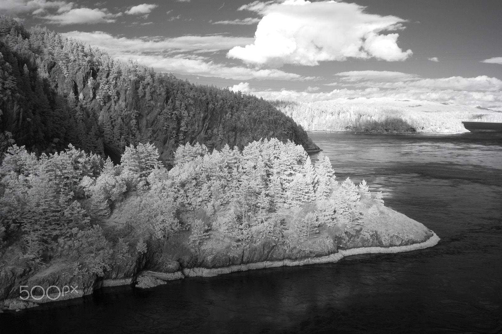 Nikon D70 sample photo. Water & trees photography
