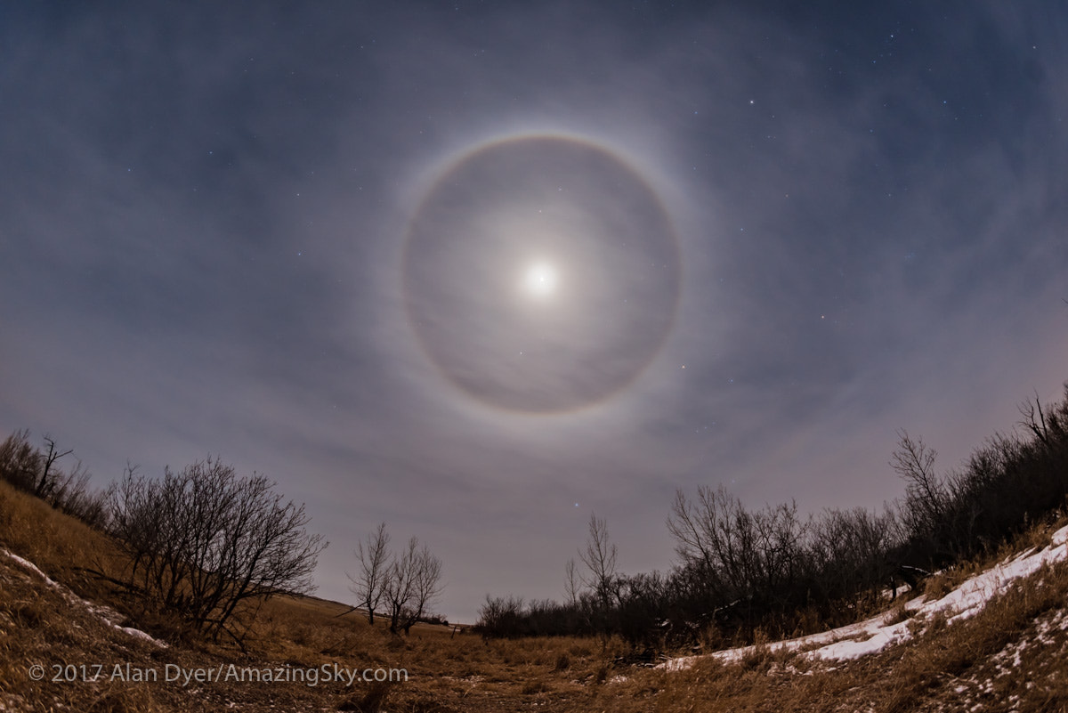 Samyang 12mm F2.8 ED AS NCS Fisheye sample photo. Ring around a winter moon photography