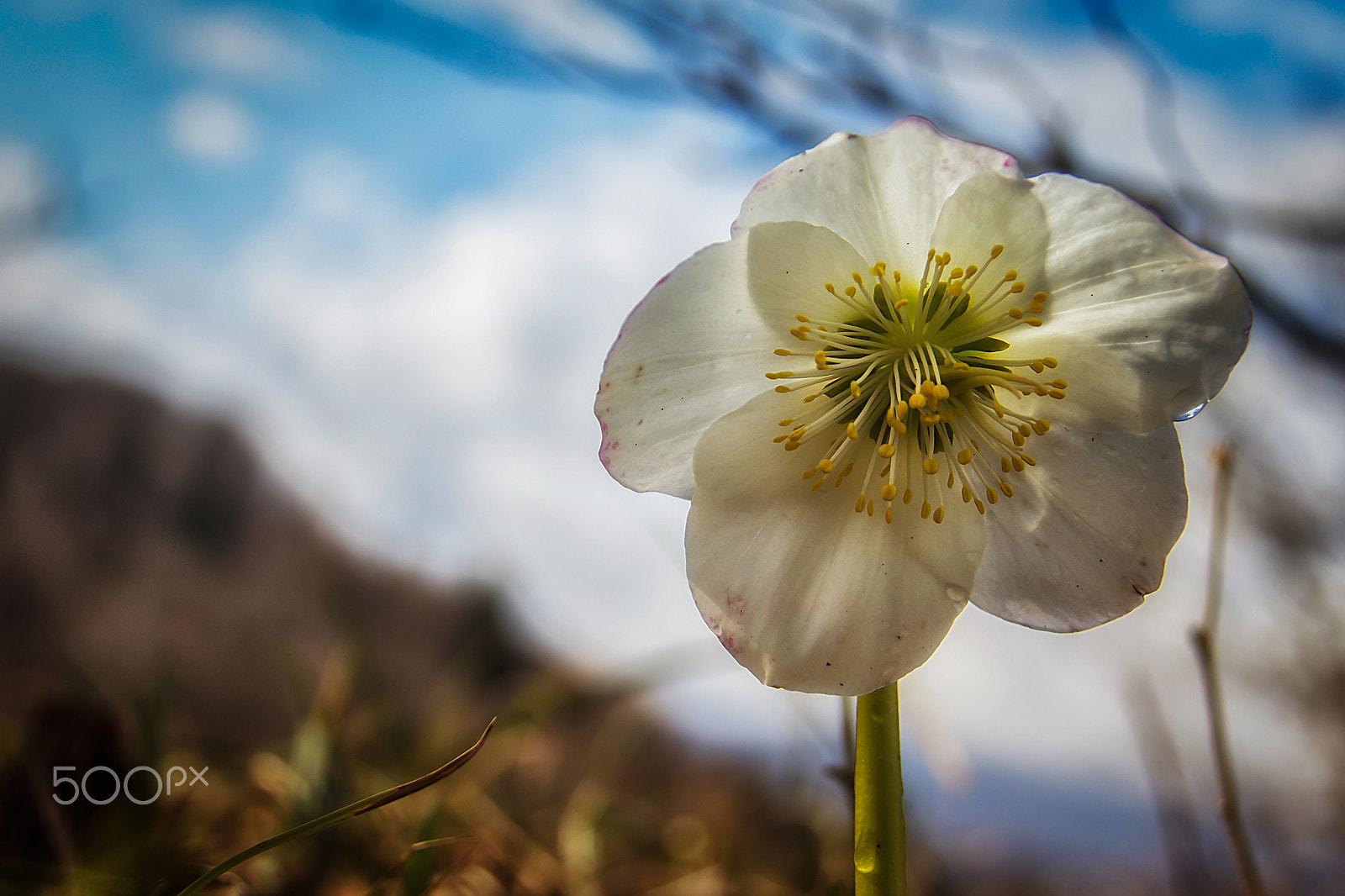 Canon EF-S 18-200mm F3.5-5.6 IS sample photo. Sretan dan Žena photography