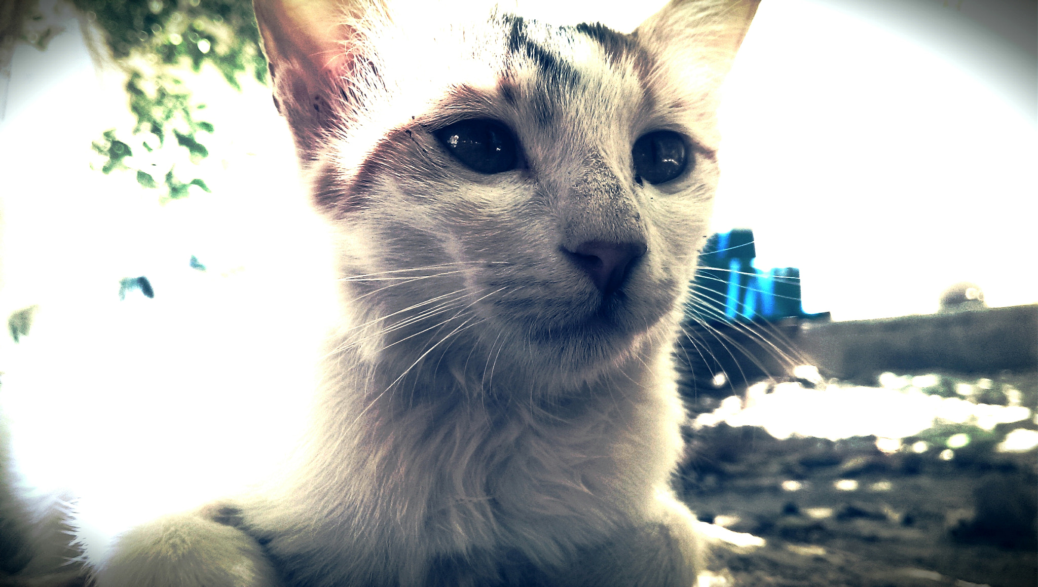 HTC ONE sample photo