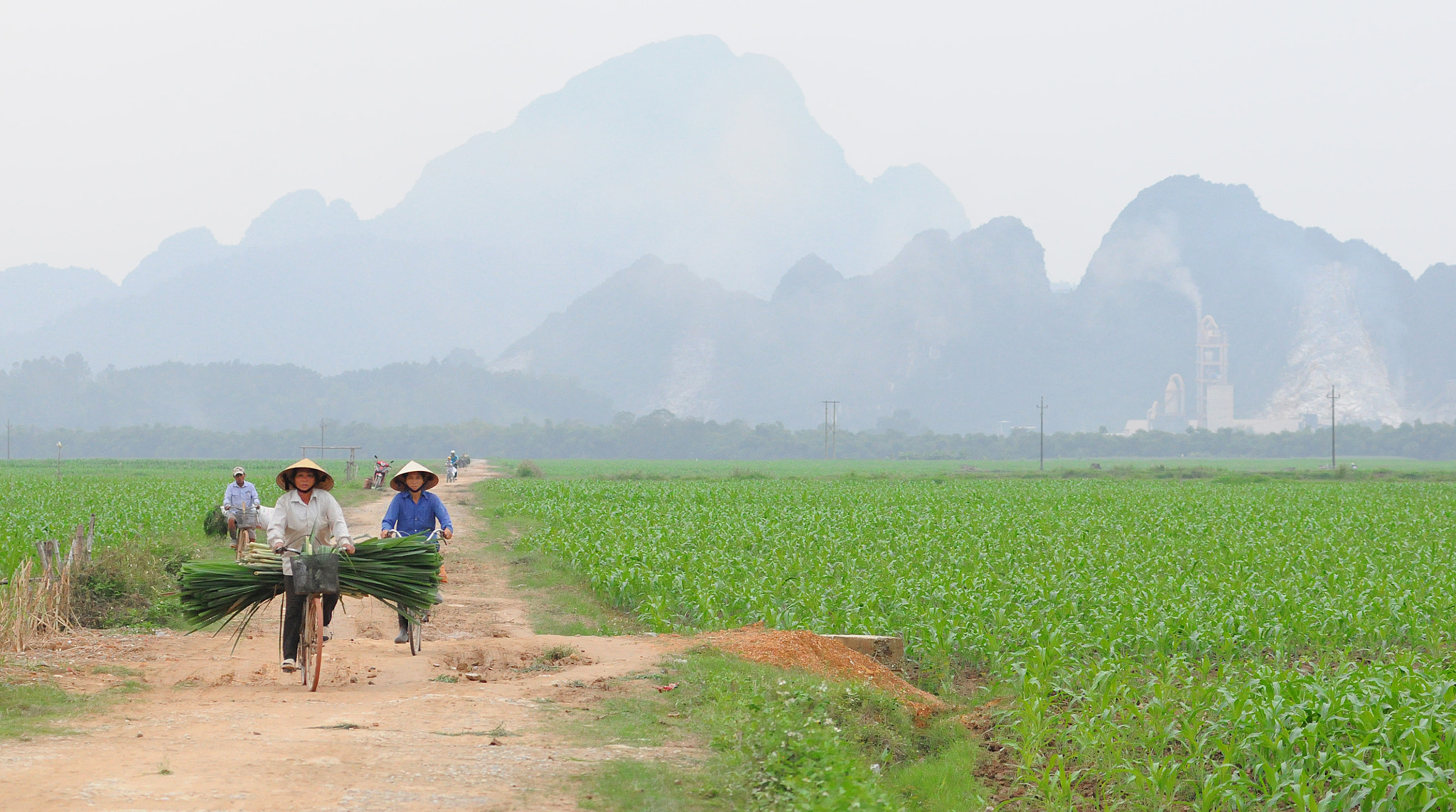 Nikon AF-Nikkor 80-200mm F2.8D ED sample photo. Vietnam photography