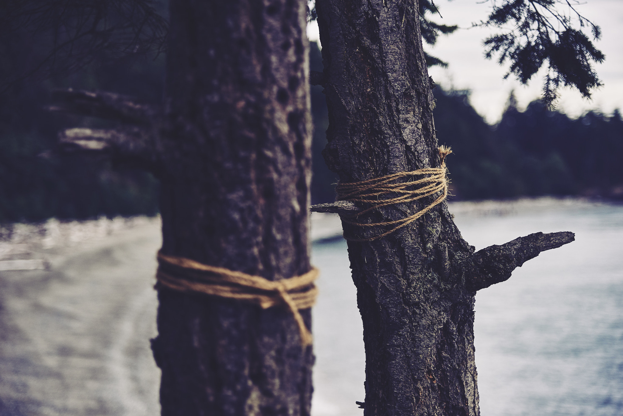 Nikon D750 + Nikon AF-S Nikkor 24-120mm F4G ED VR sample photo. Deception pass photography