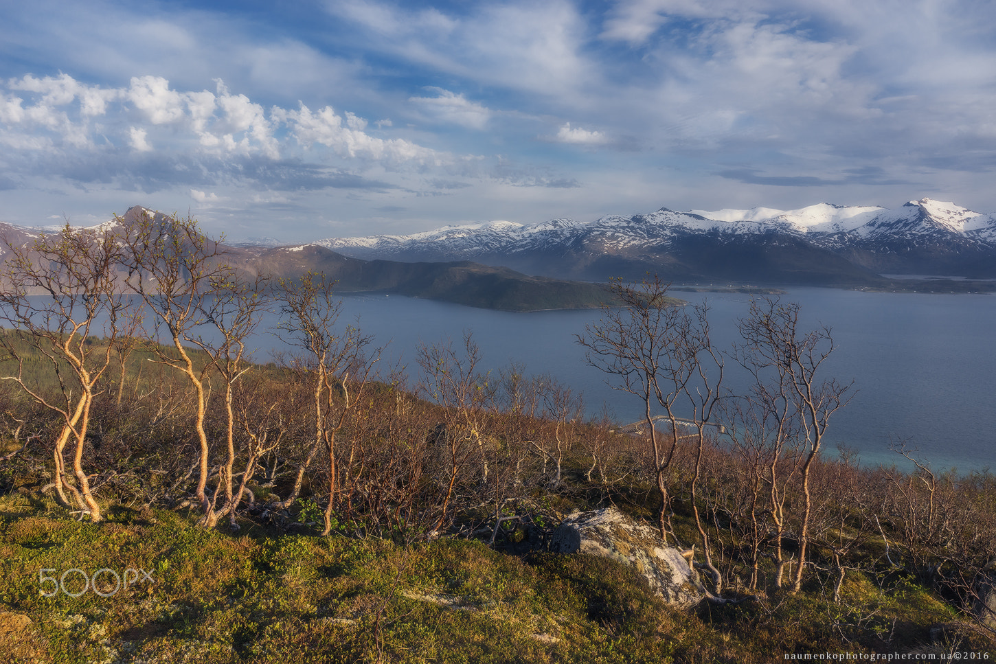 Sony a7R sample photo. Norway. island senja. on the slopes of the village skaland photography