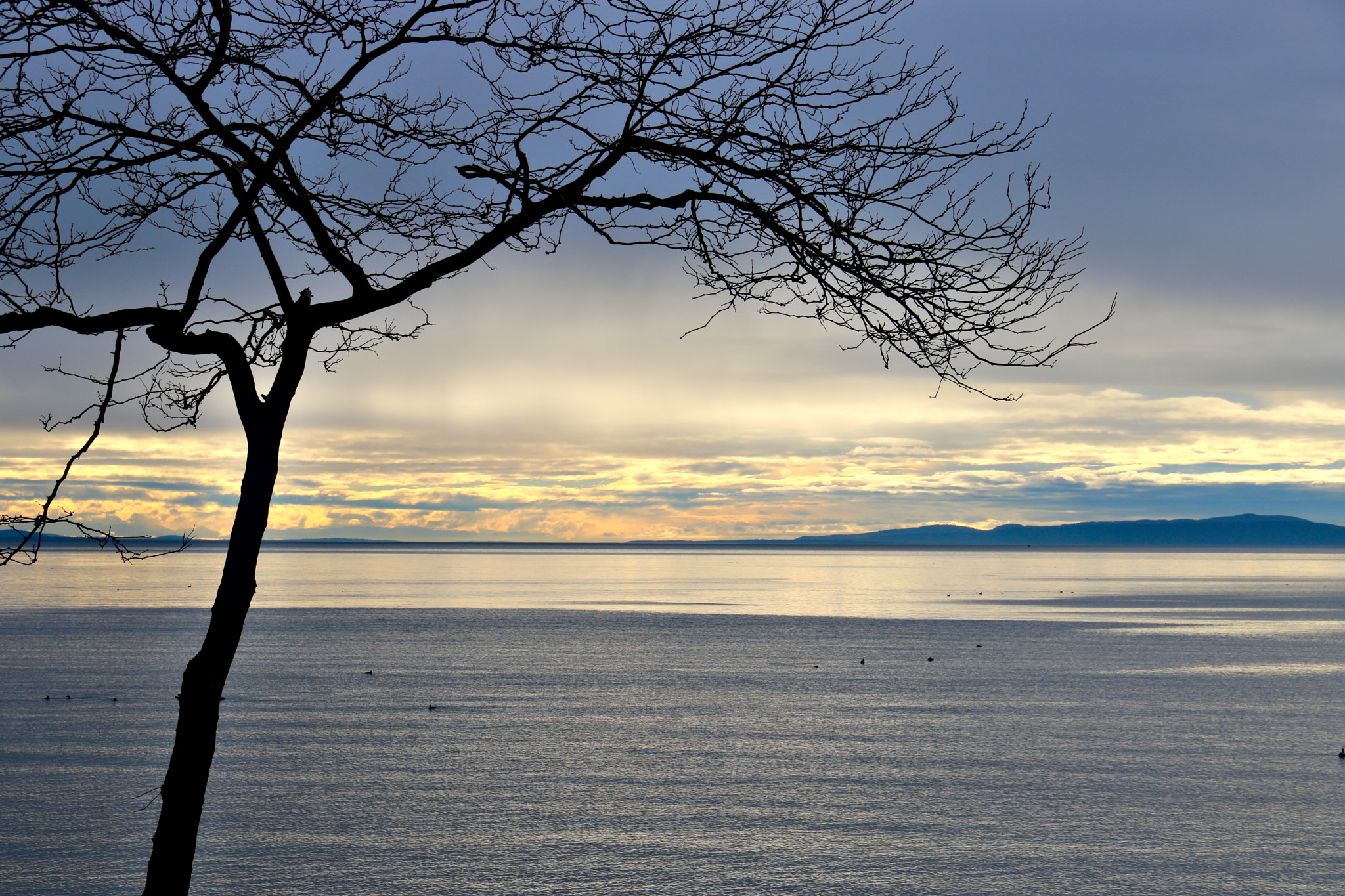 Canon EOS 750D (EOS Rebel T6i / EOS Kiss X8i) + Canon EF-S 18-135mm F3.5-5.6 IS sample photo. Sunset at white rock photography