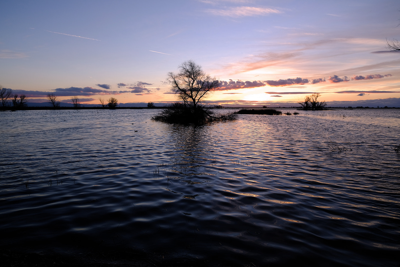 Fujifilm X-T20 + Fujifilm XF 14mm F2.8 R sample photo. Flood survivor photography
