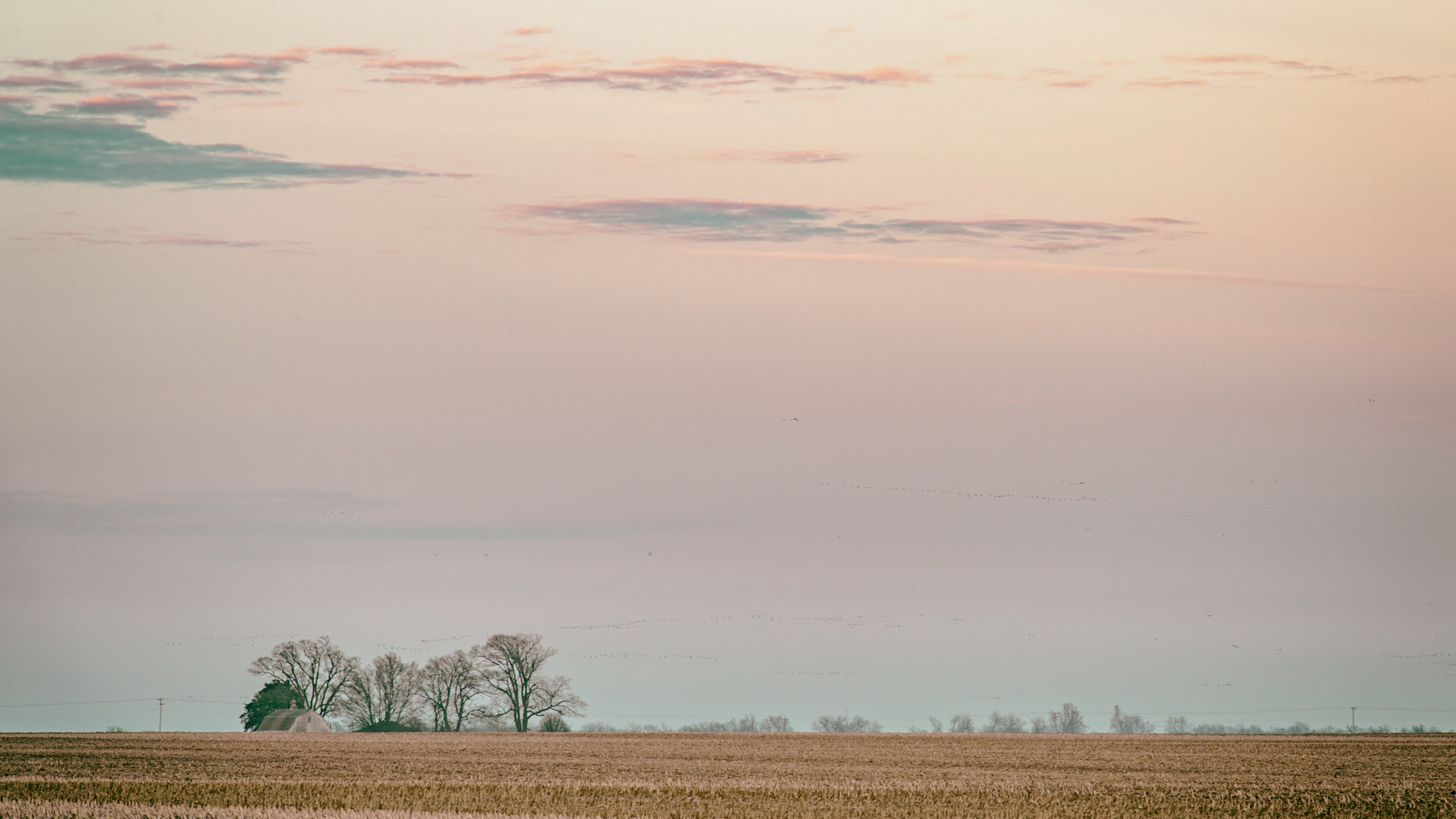 Nikon Df sample photo. Farmland photography
