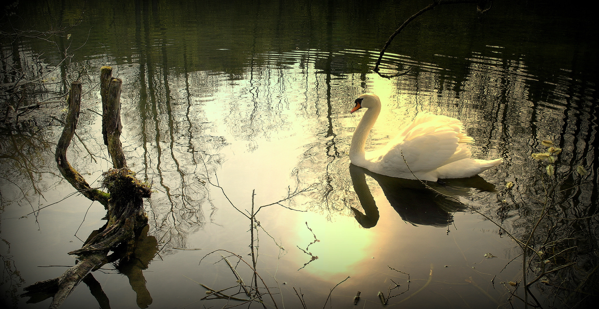 Samsung NX10 sample photo. "idylle" photography