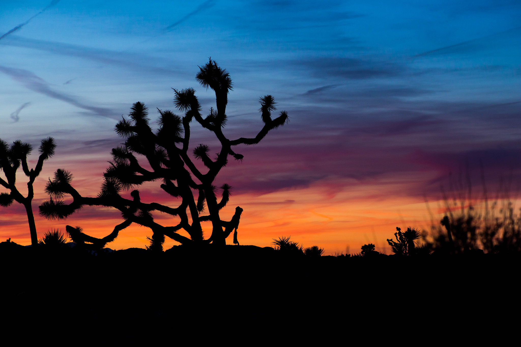 Canon EOS 6D + EF75-300mm f/4-5.6 sample photo. Sunset in joshua tree photography