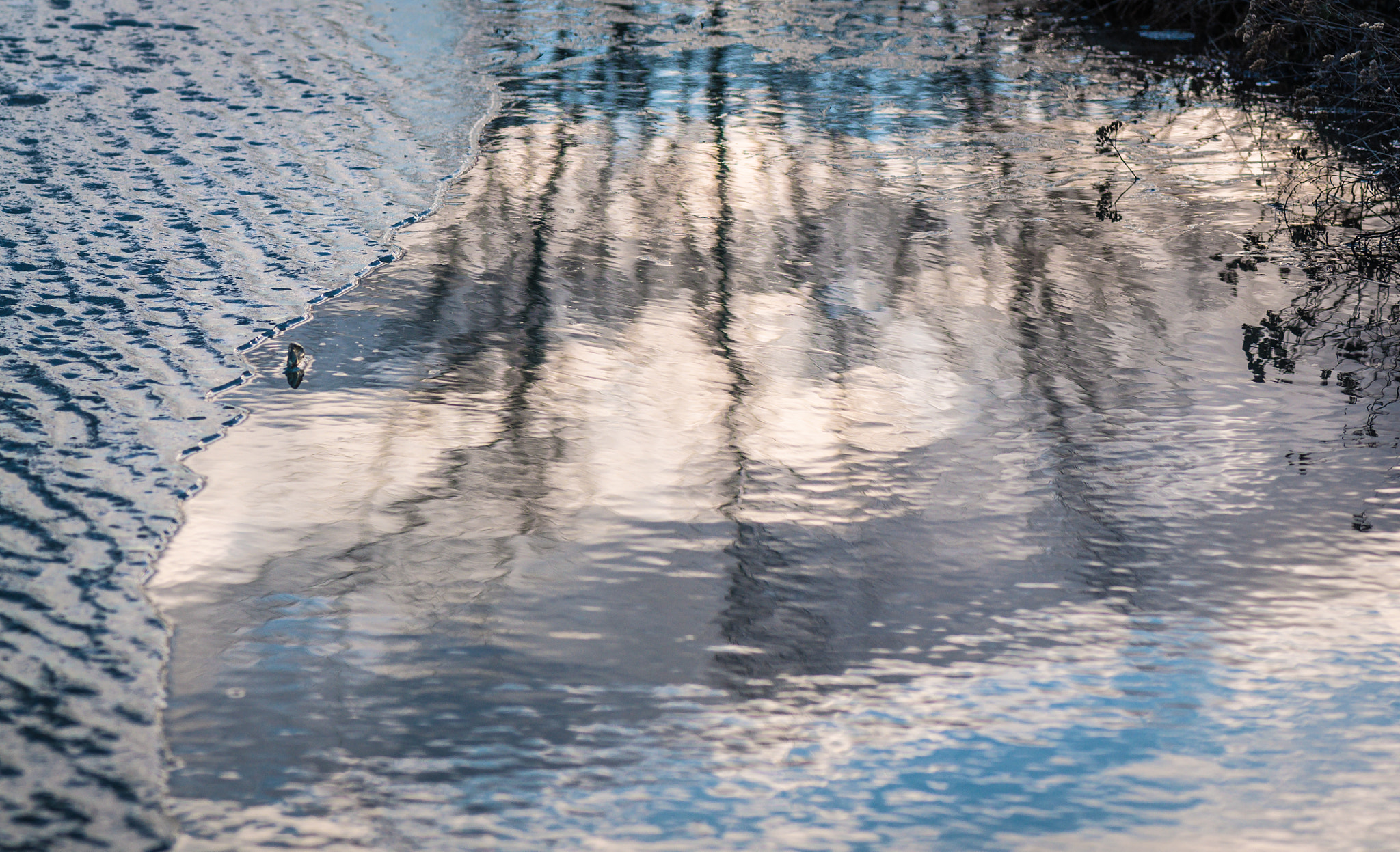 Nikon AF-S Micro-Nikkor 105mm F2.8G IF-ED VR sample photo. In the cold mirror photography