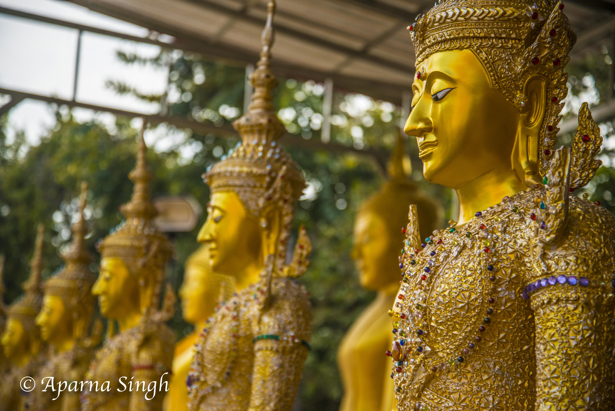Nikon D800 sample photo. Buddha photography