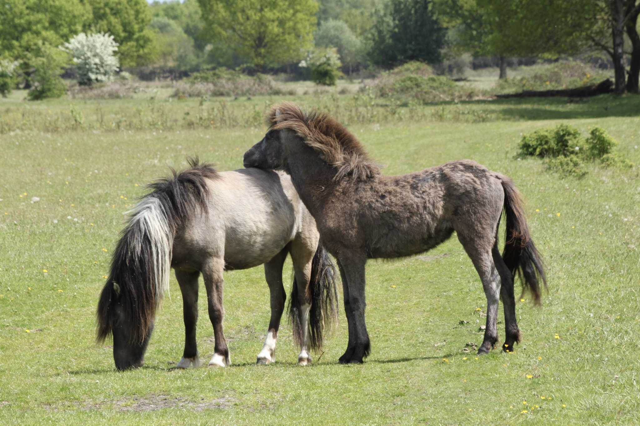 Canon EF 70-300mm F4-5.6 IS USM sample photo