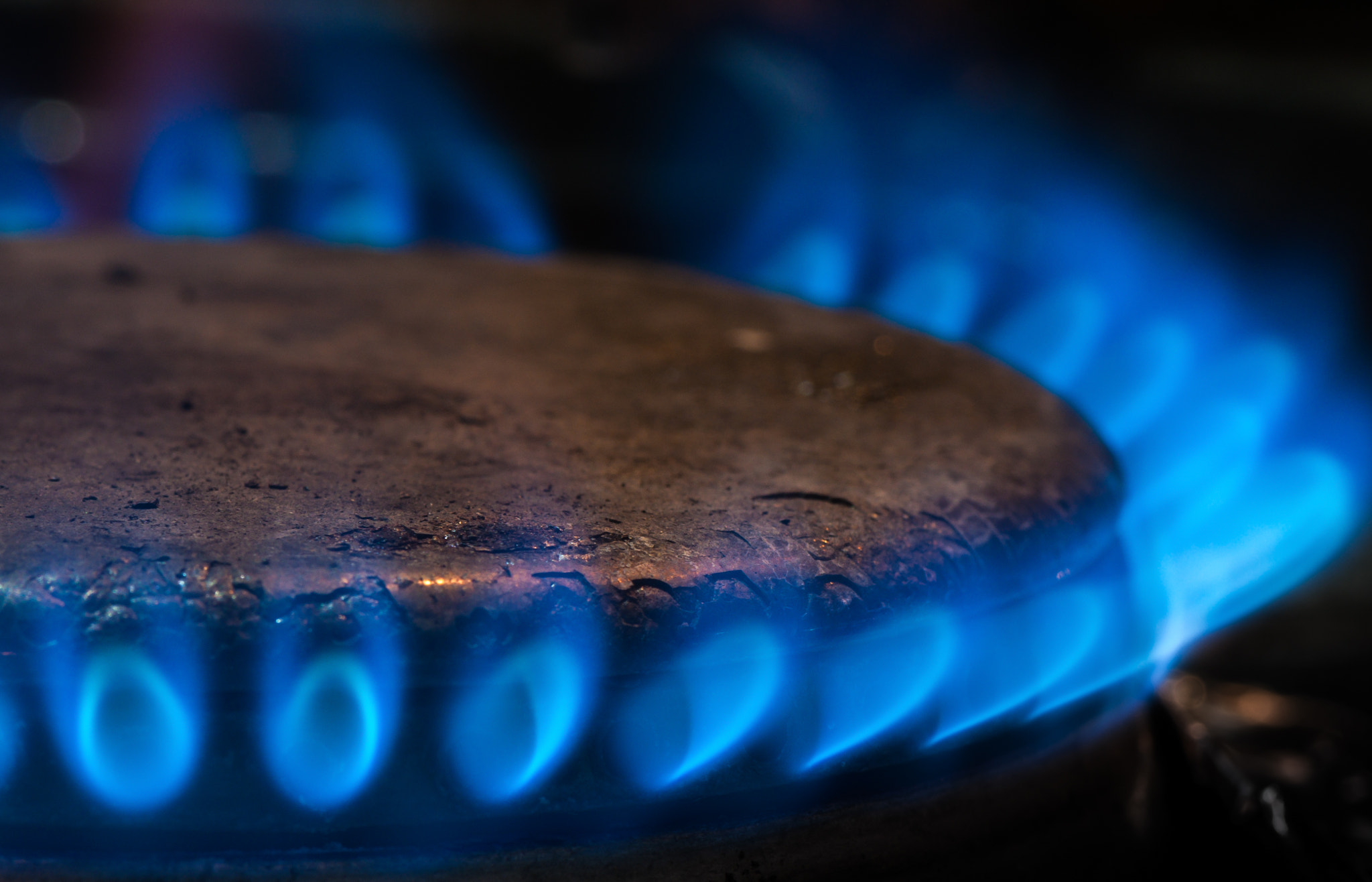 Nikon AF-S Micro-Nikkor 105mm F2.8G IF-ED VR sample photo. Blue heat. Голубе тепло. photography