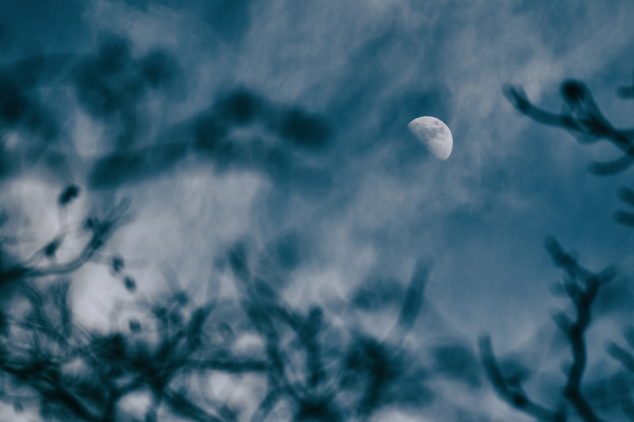 Canon EOS 80D + Canon EF 70-200mm F4L IS USM sample photo. Moon photography