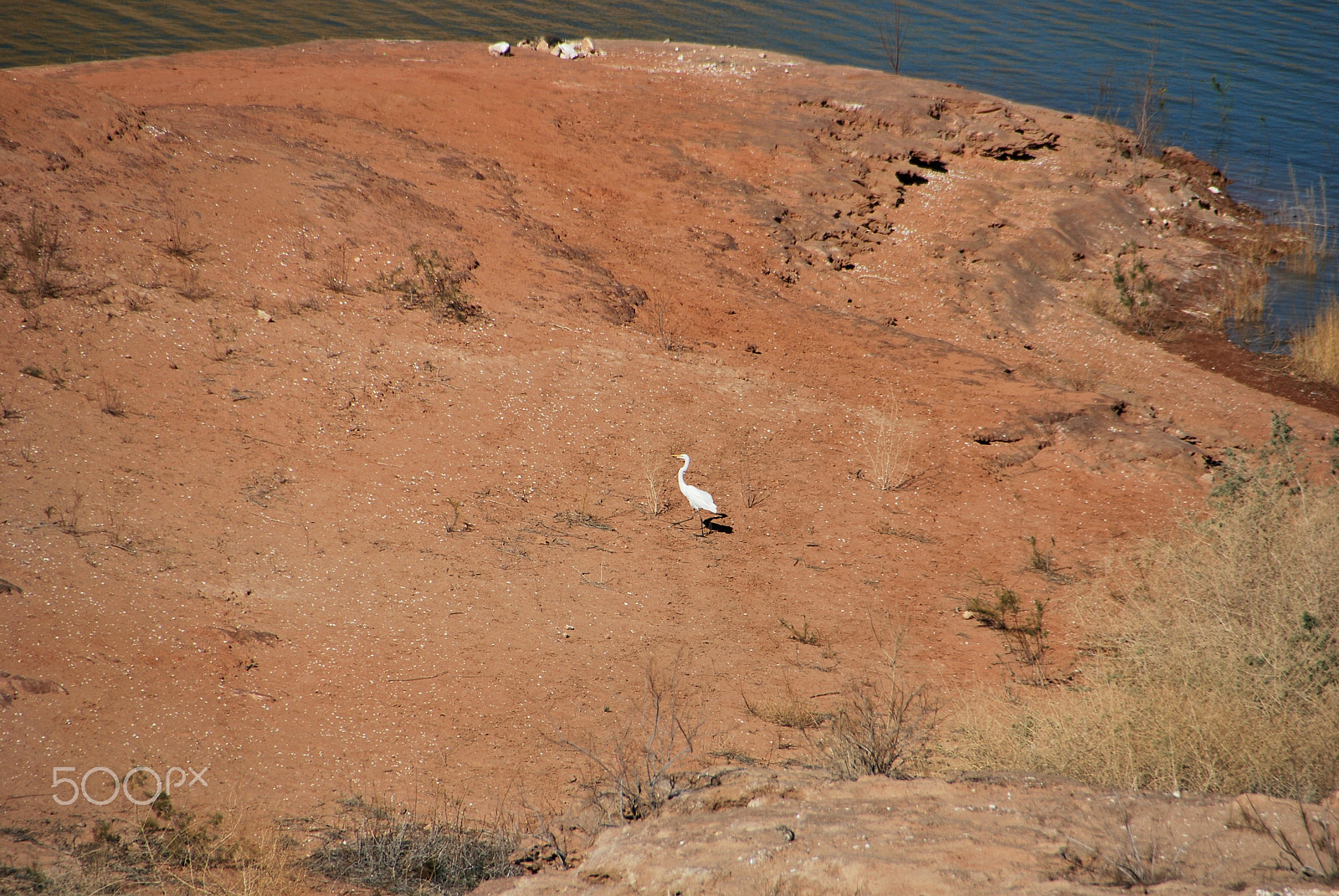 Nikon D60 sample photo. All alone photography