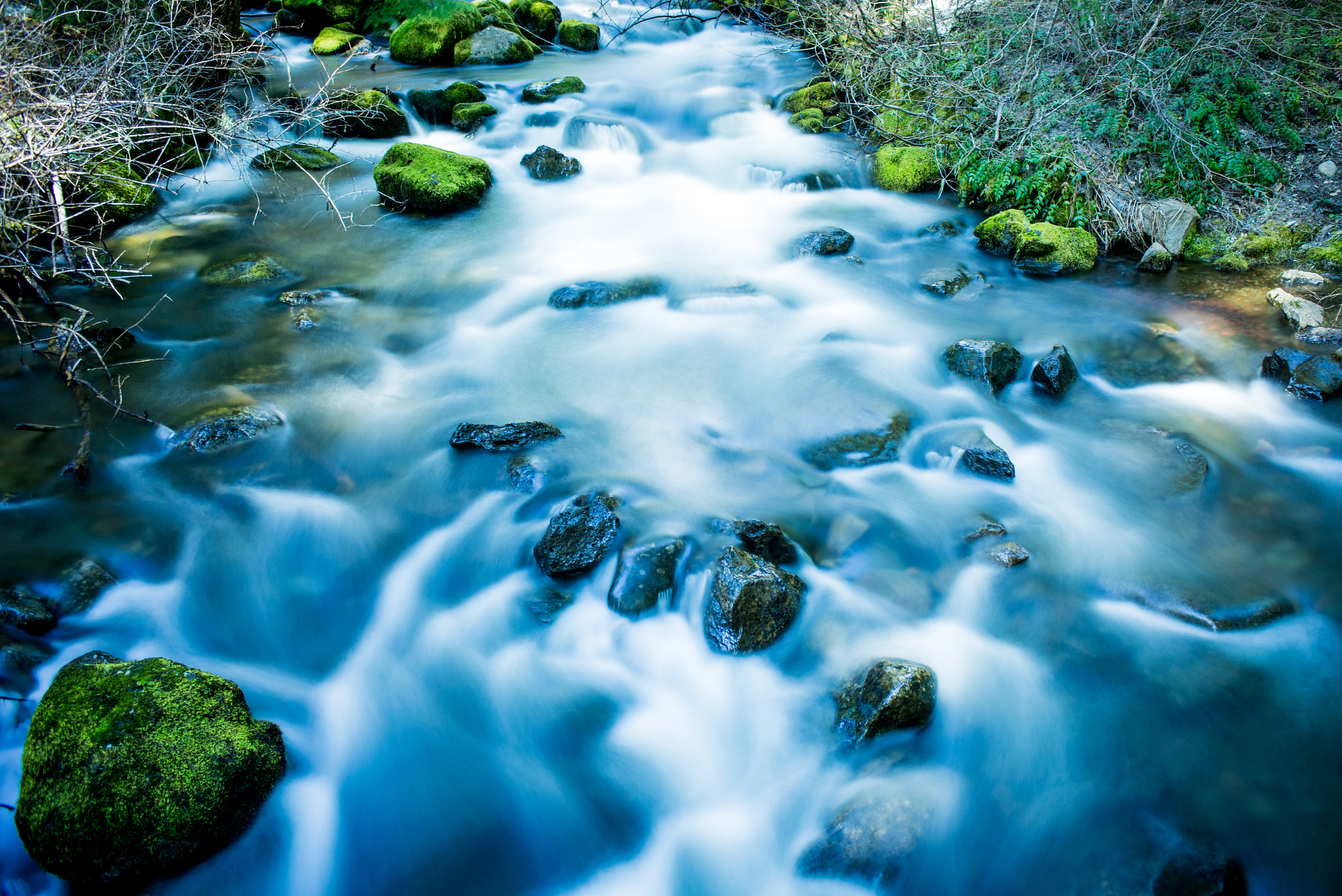 Nikon AF Nikkor 28mm F2.8D sample photo. Flow of life photography