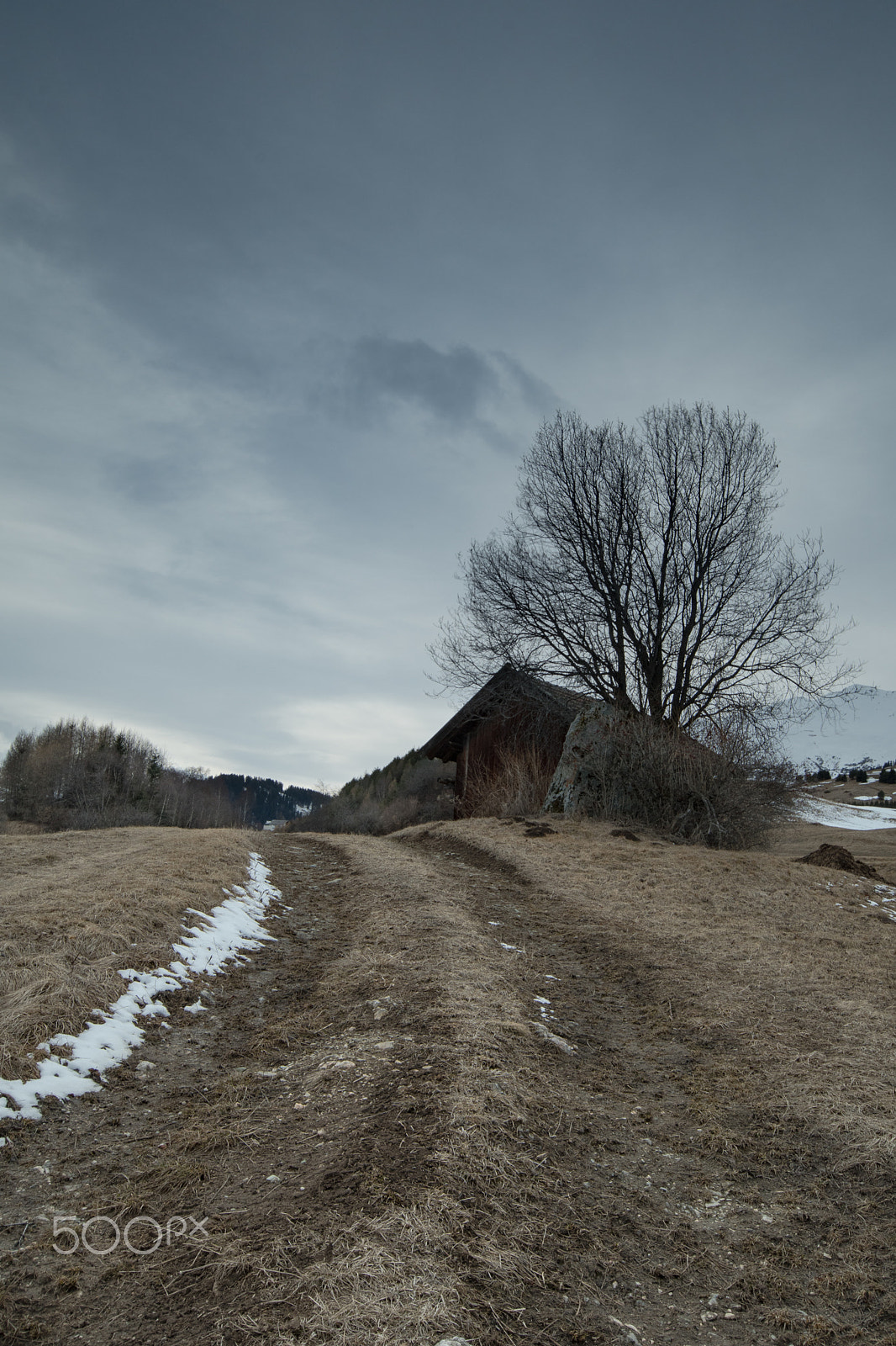 Nikon D500 sample photo. Old path photography