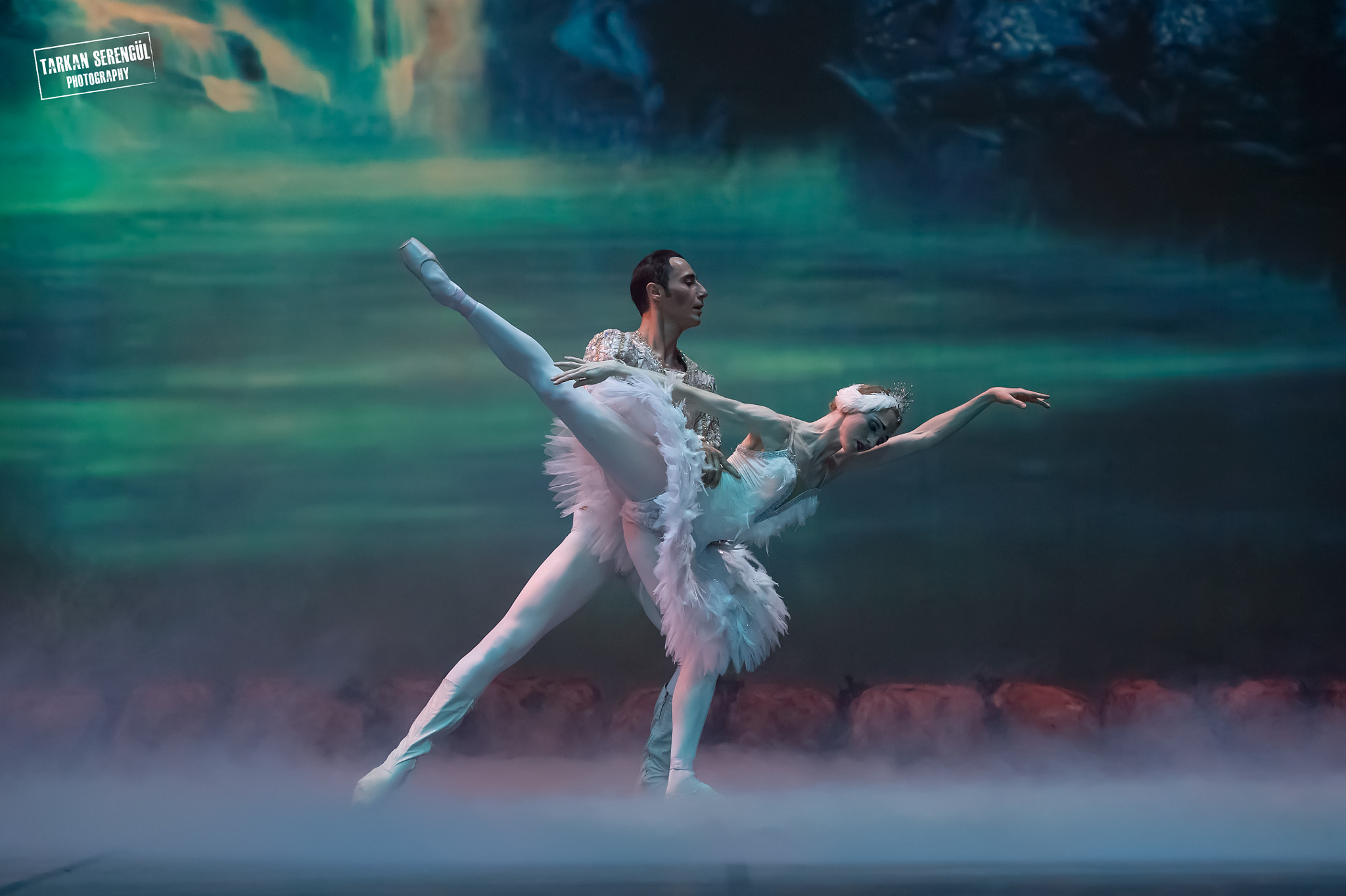 Nikon AF-S Nikkor 70-200mm F2.8G ED VR II sample photo. Swan lake photography