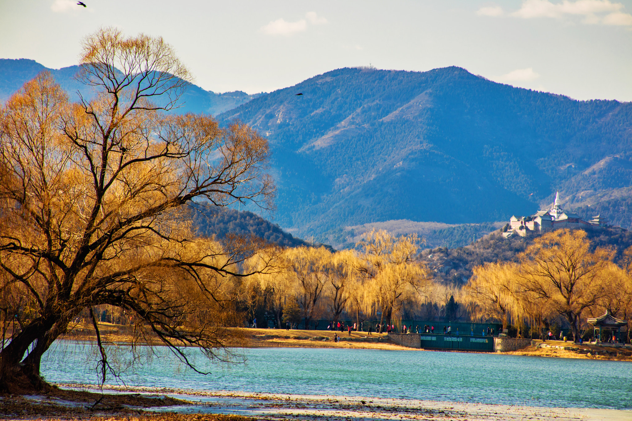 Canon EOS 5DS R + EF75-300mm f/4-5.6 sample photo. The summer palace photography