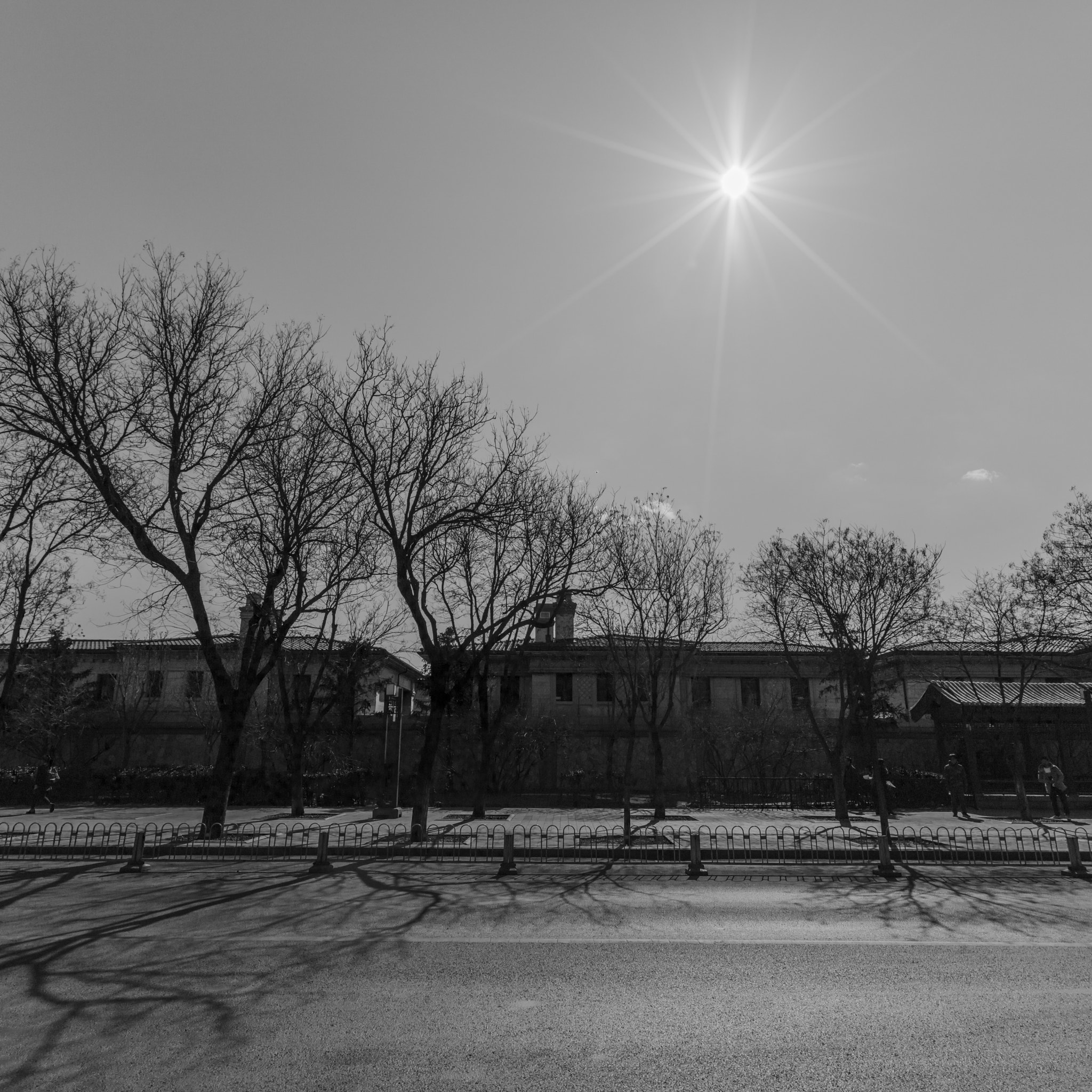 Canon EF 16-35mm F2.8L II USM sample photo