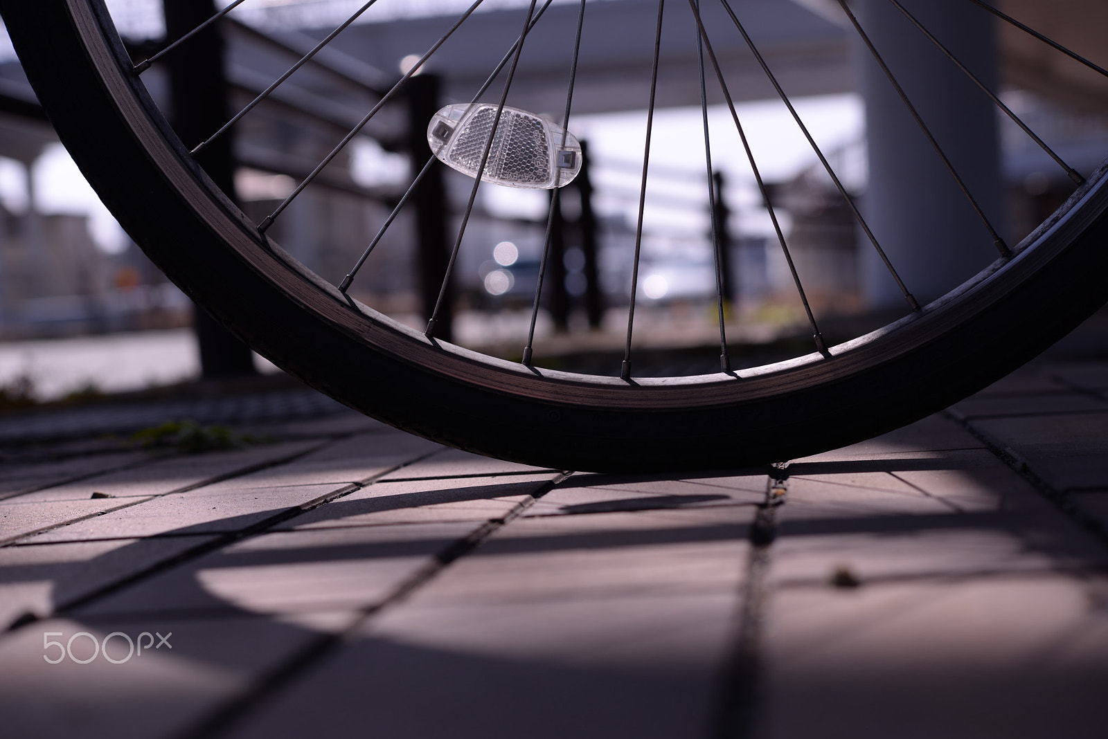 Nikon AF-S Micro-Nikkor 60mm F2.8G ED sample photo. Longing photography