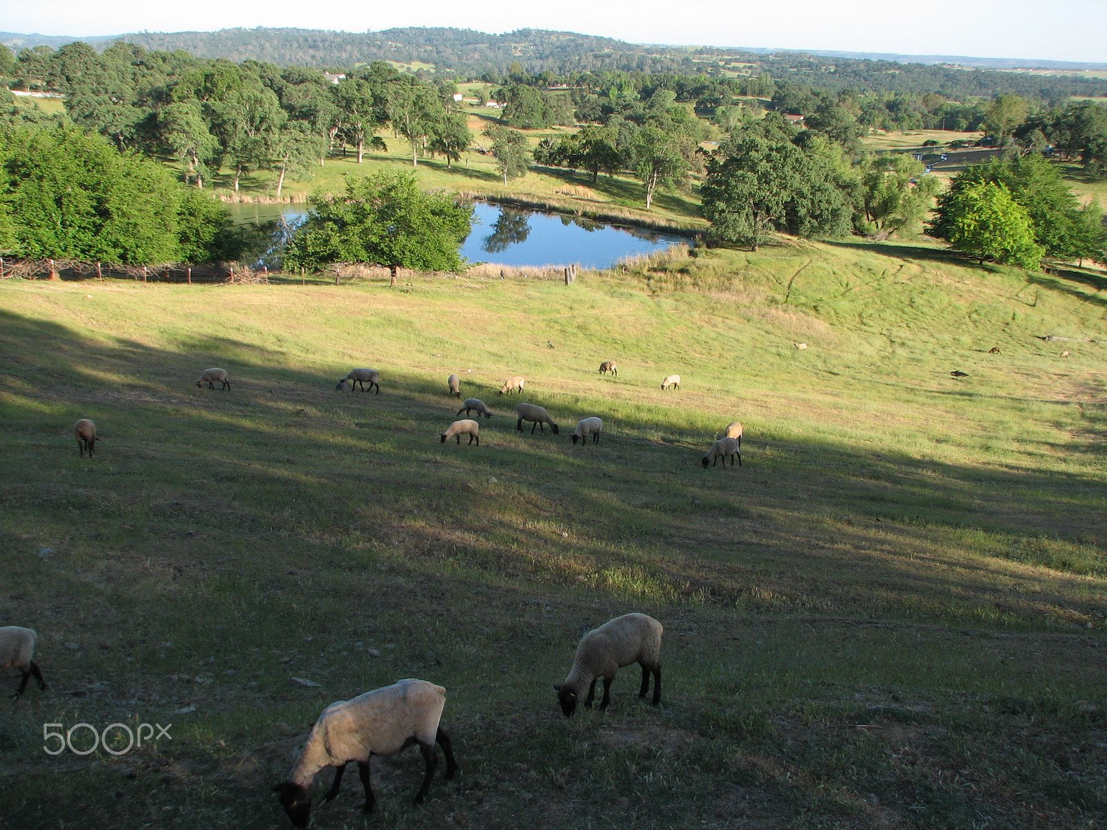 Canon POWERSHOT S2 IS sample photo. Sun going down on the farm photography