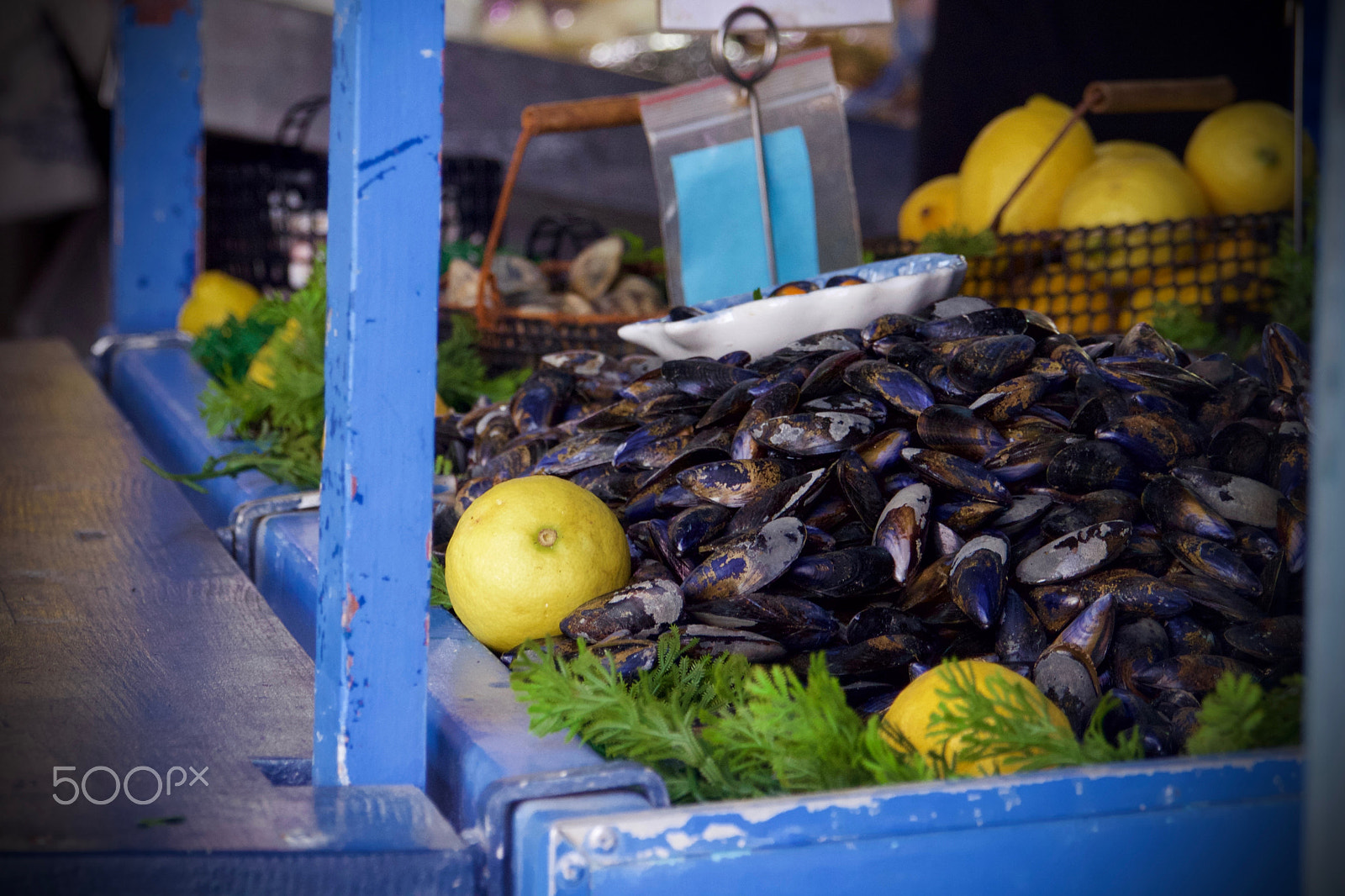 Canon EOS 600D (Rebel EOS T3i / EOS Kiss X5) + Sigma 18-200mm f/3.5-6.3 DC OS sample photo. Mussels and lemons photography