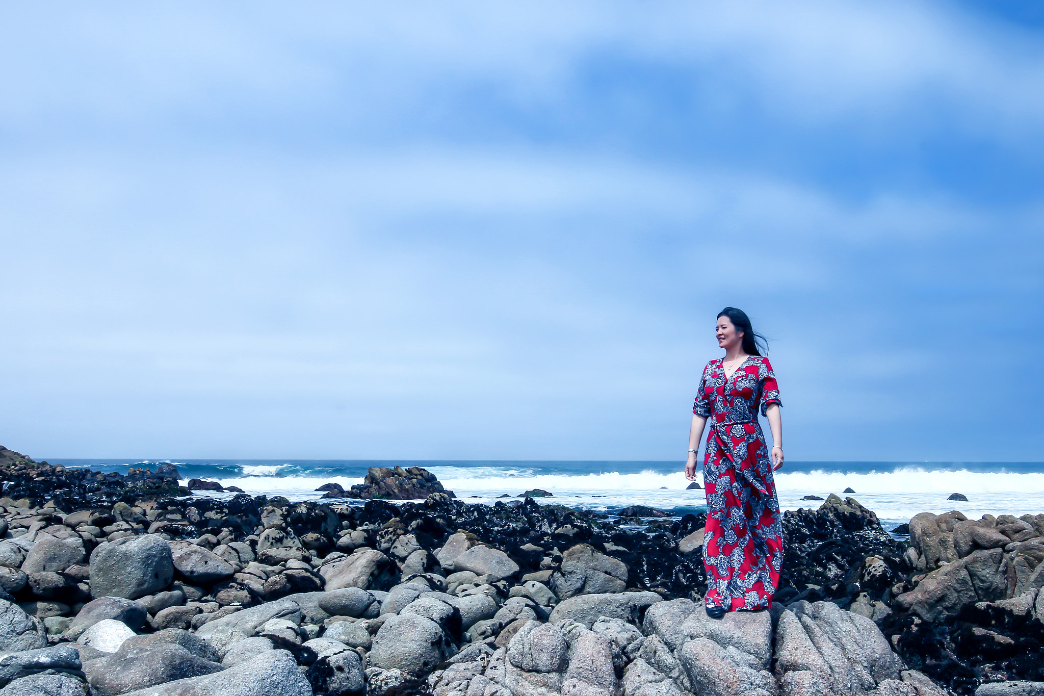 Canon EF 16-35mm F4L IS USM sample photo. 17 mile dr of monterey photography